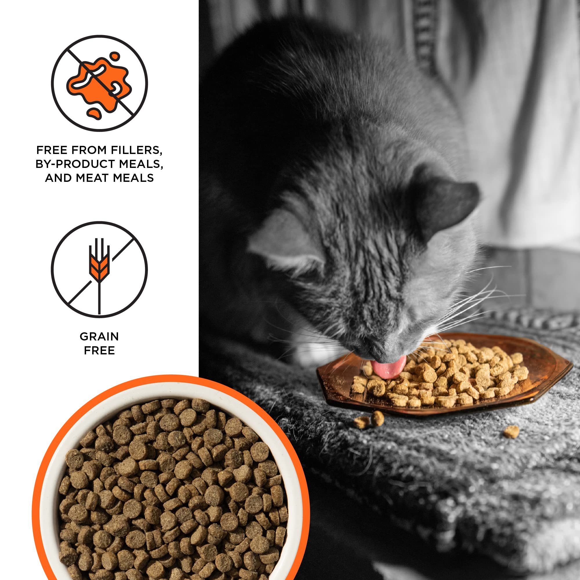 Liberty Dry Food Chicken Recipe for Cats, 3lb