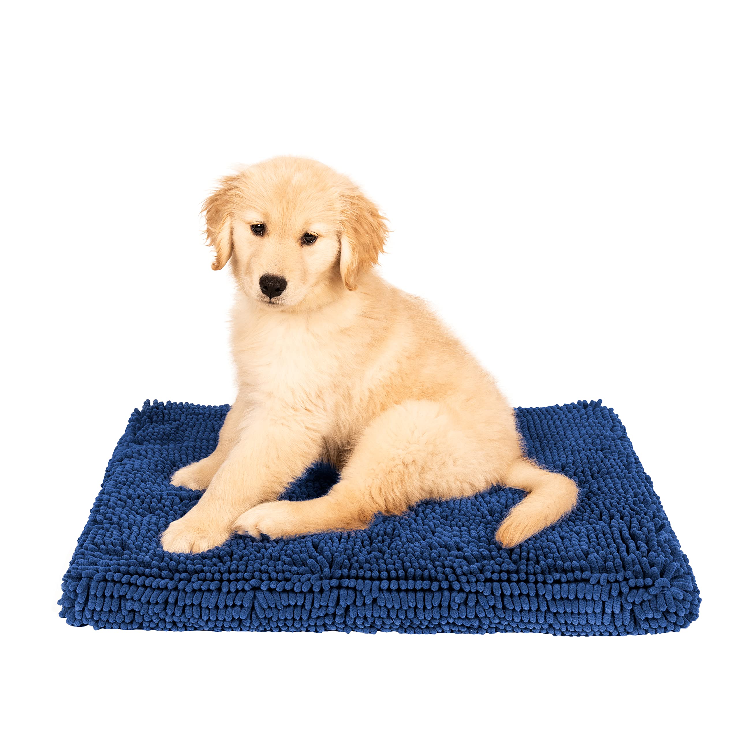 Dog Gone Smart Pet Products Dirty Dog Microfiber Cushion Pad, Bermuda Blue, 21X30 Medium (Dgsddcp2197)