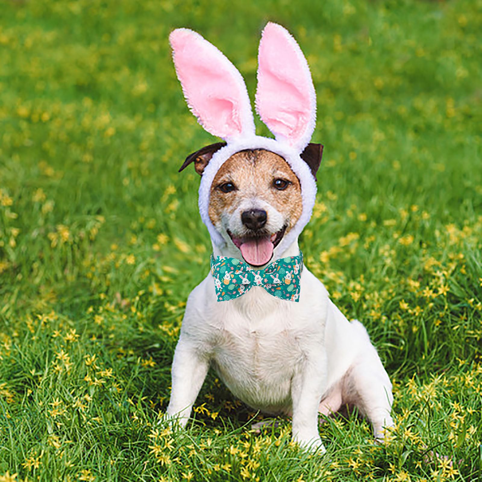 Aring Pet Easter Dog Collar-Cute Green Easter Eggs Dog Collar With Bow, Adjustable Carrot&Rabbit Bowtie Dog Collars Pet Necklace