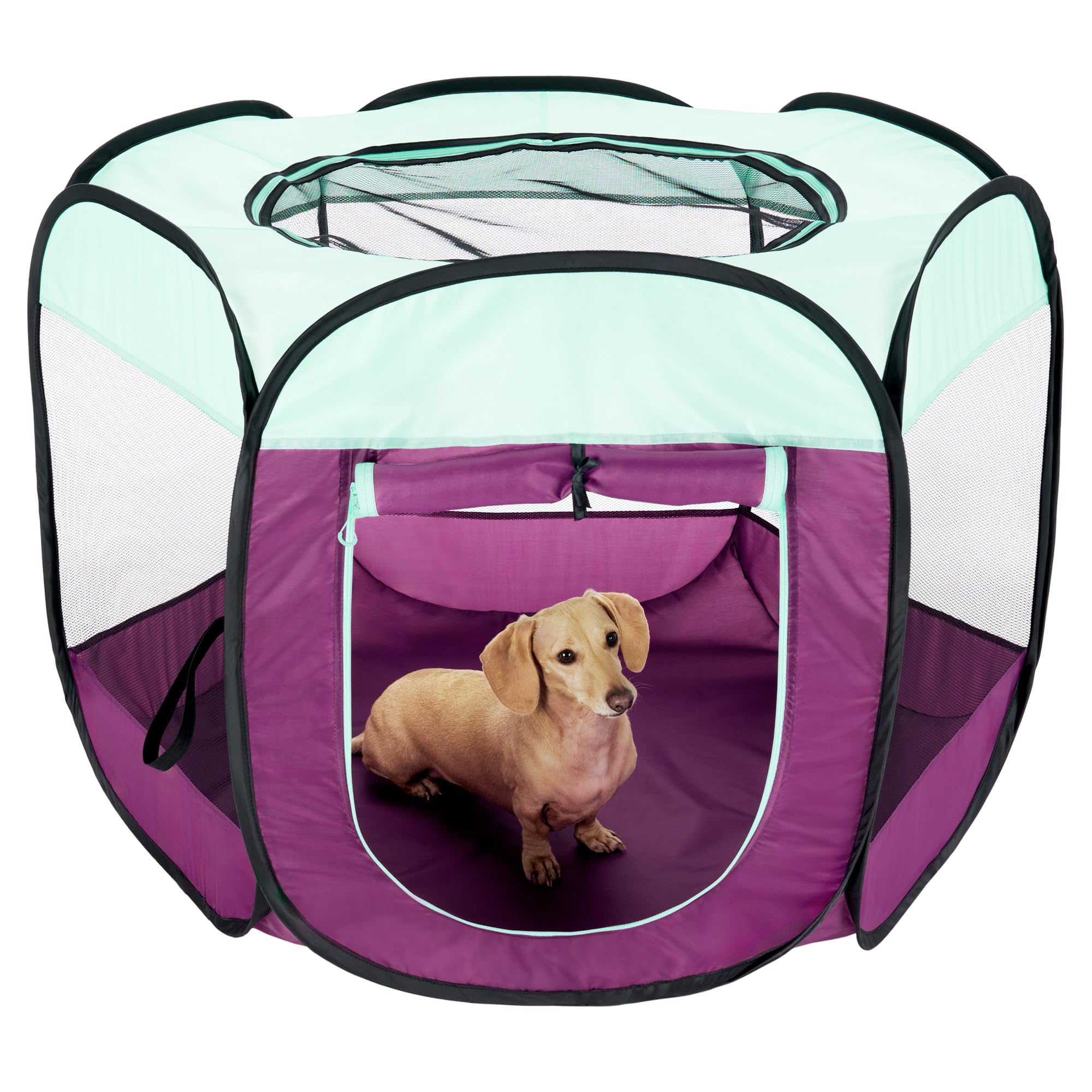 Furhaven Pop Up Dog Playpen Portable Pet Tent Playground Foldable Indoor Outdoor Puppy Cat Kitten - Purple, Medium