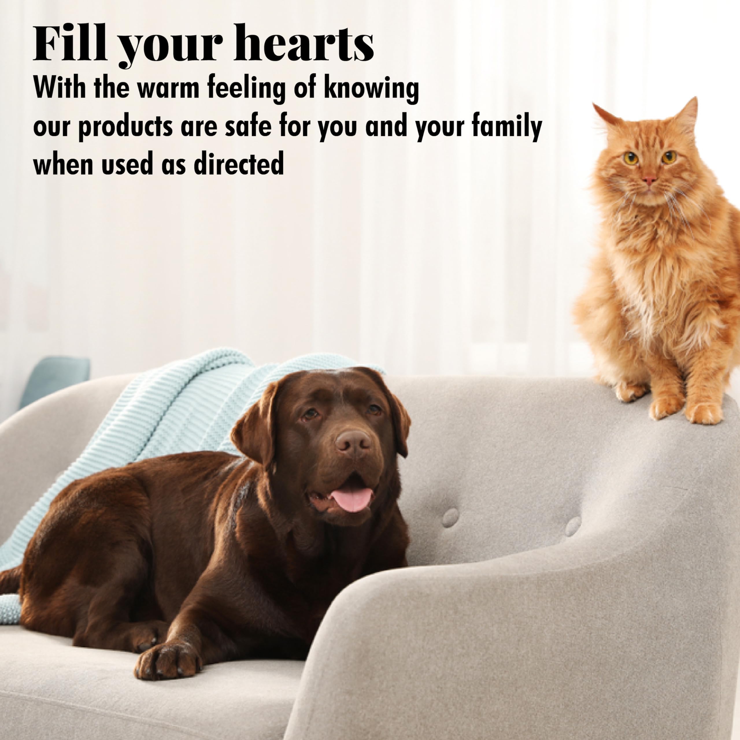 Citrus Magic Pet Odor Eliminator Solid Air Freshener, Fresh Citrus, 8-Ounce, Pack Of 1