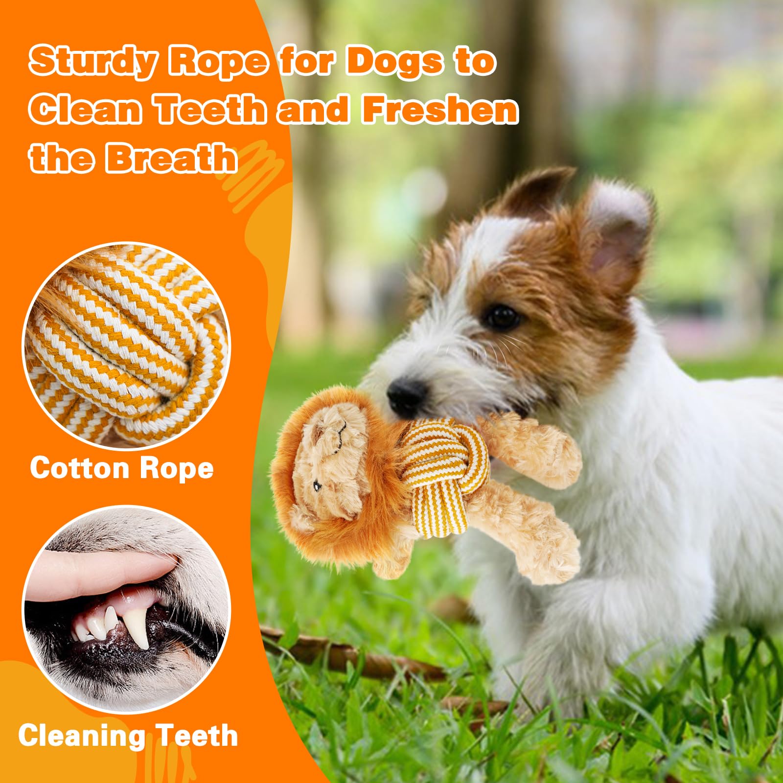 Lepawit Squeaky Dog Toys, Cute Lionet With Rope For Teething, Durable Dog Chew Toys For Small And Medium Dogs