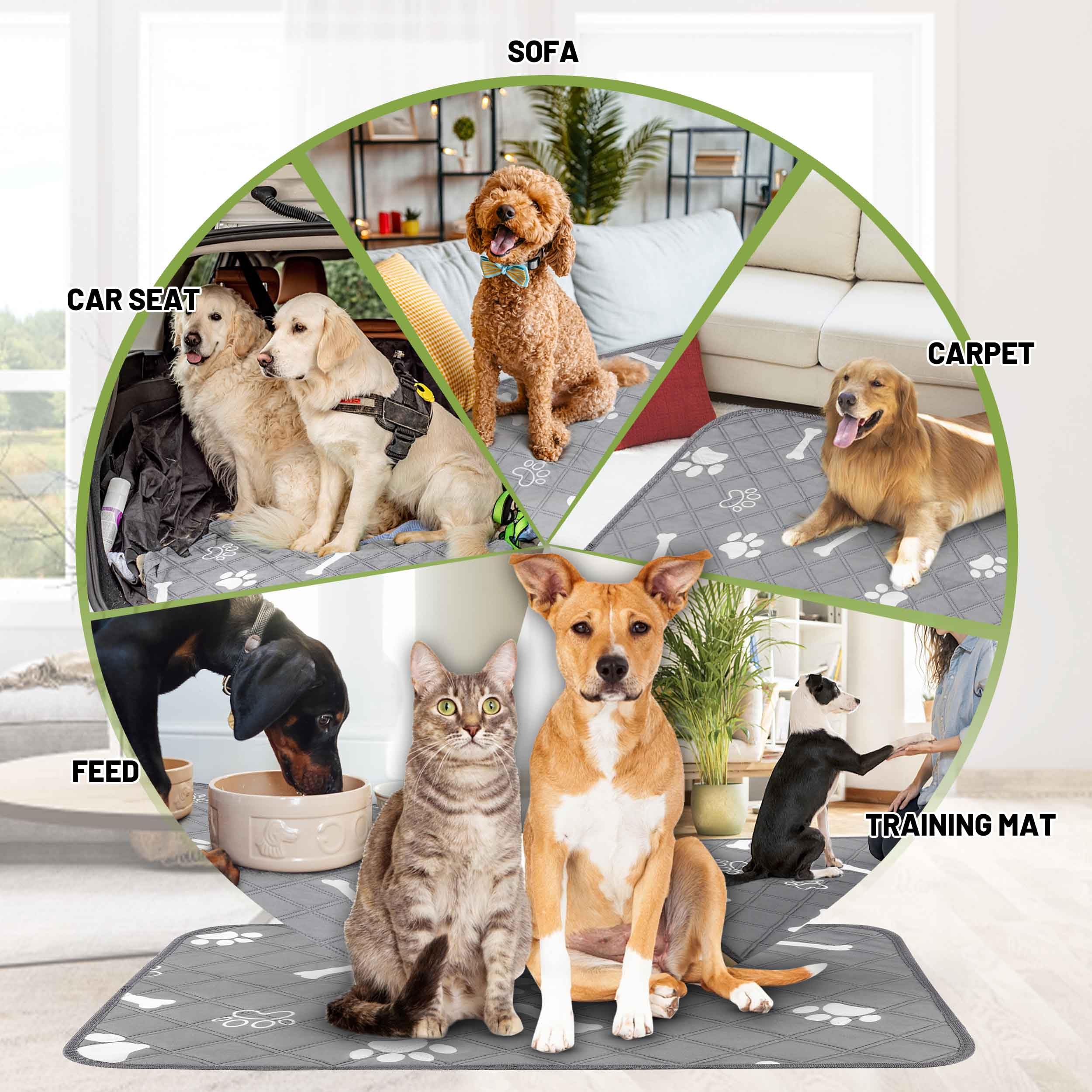 Patiencet Washable Pee Pads For Dogs, 48'' X 65'' Reusable Puppy Pads With Super Absorbent For Pet Training, Housebreaking And I