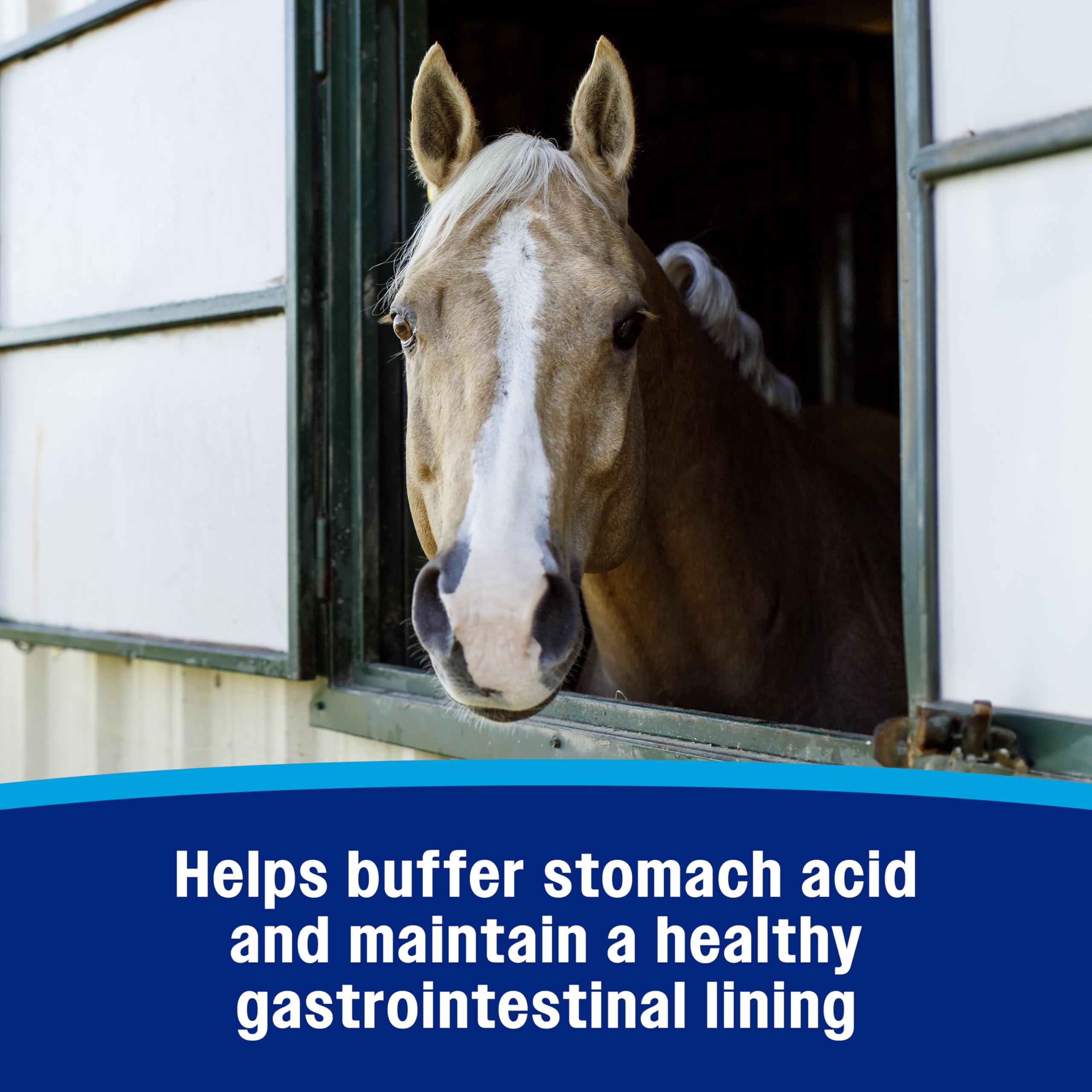 Farnam Gastric Health Pellets, Daily Gut and Digestive Health Supplement for Horses Helps Maintain a Healthy Gastrointestinal Tr