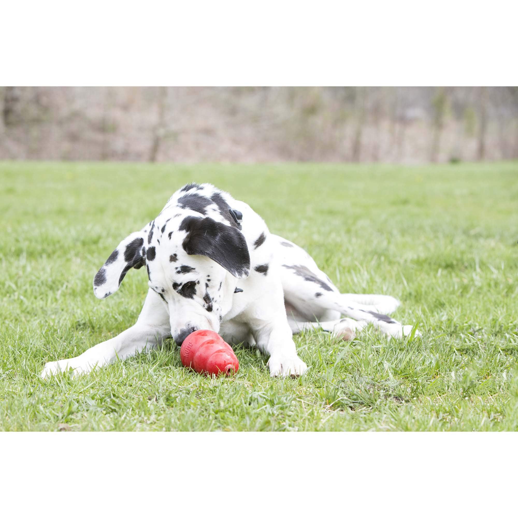 KONG - Peanut Butter Paste - Dog Treat with Real Ingredients, Great for Mess Free Stuffing Rubber Toys, Made in The USA