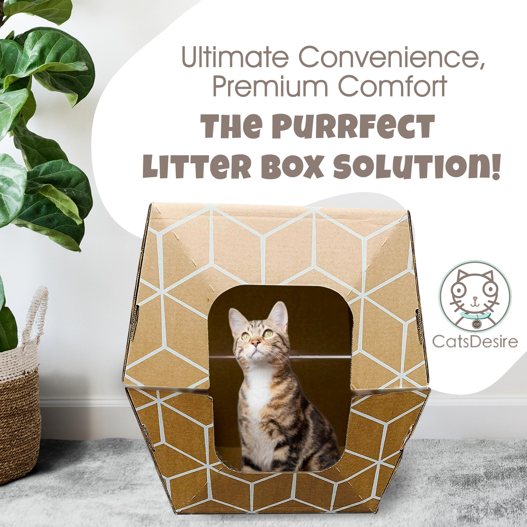 Cats Desire Litter Box - Disposable Litter Boxes For Cats (3 Pcs) - Top/Low Entry & Enclosed Box - Teal On Natural Brown, Partia