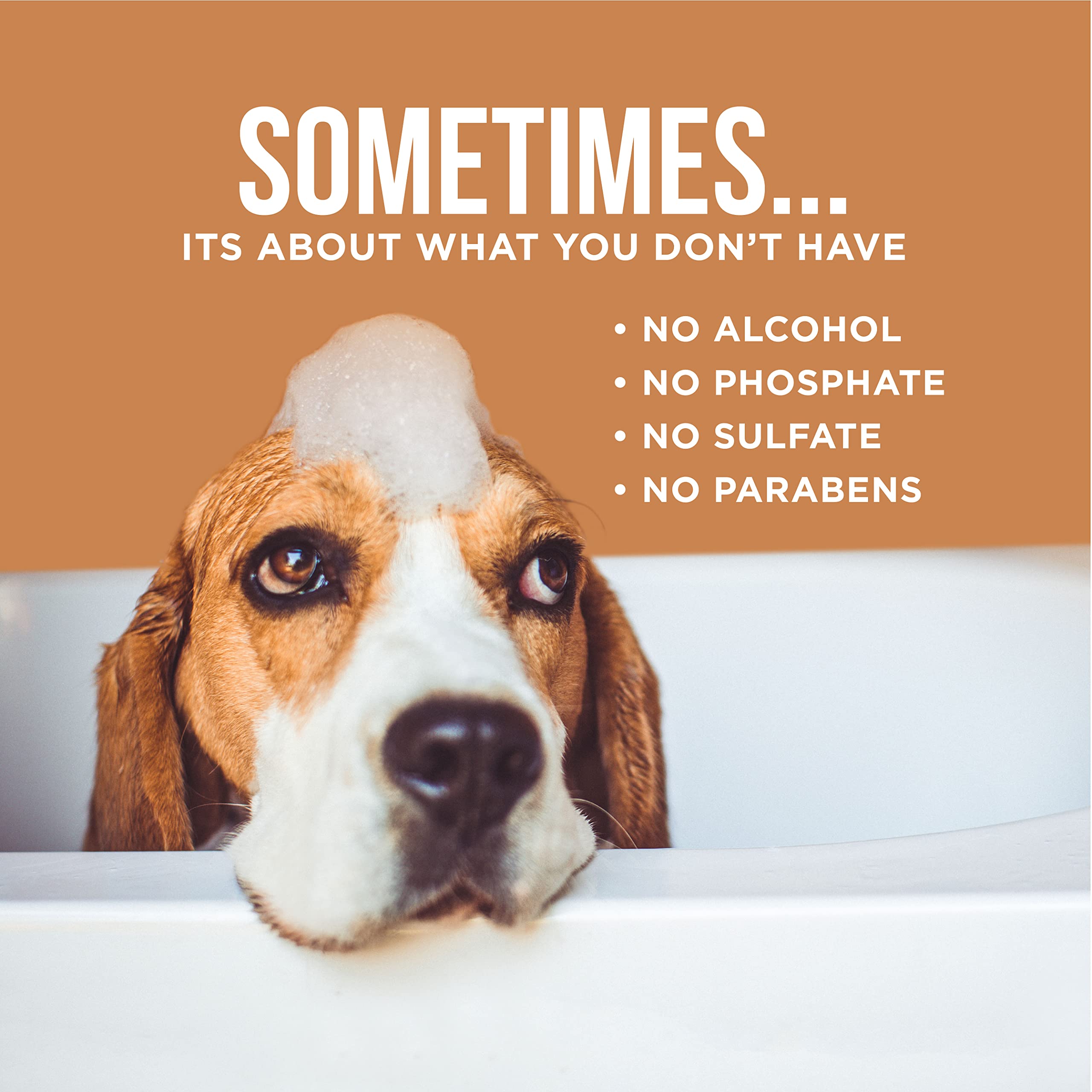 Natural Rapport Dog Cologne Spray Cranberry & Vanilla Scent - The Only Between Bath Spray Dogs Need - Convenient, Dog Deodorant Spray And Pet Urine Odor Eliminator Perfume (8 Fl Oz.)