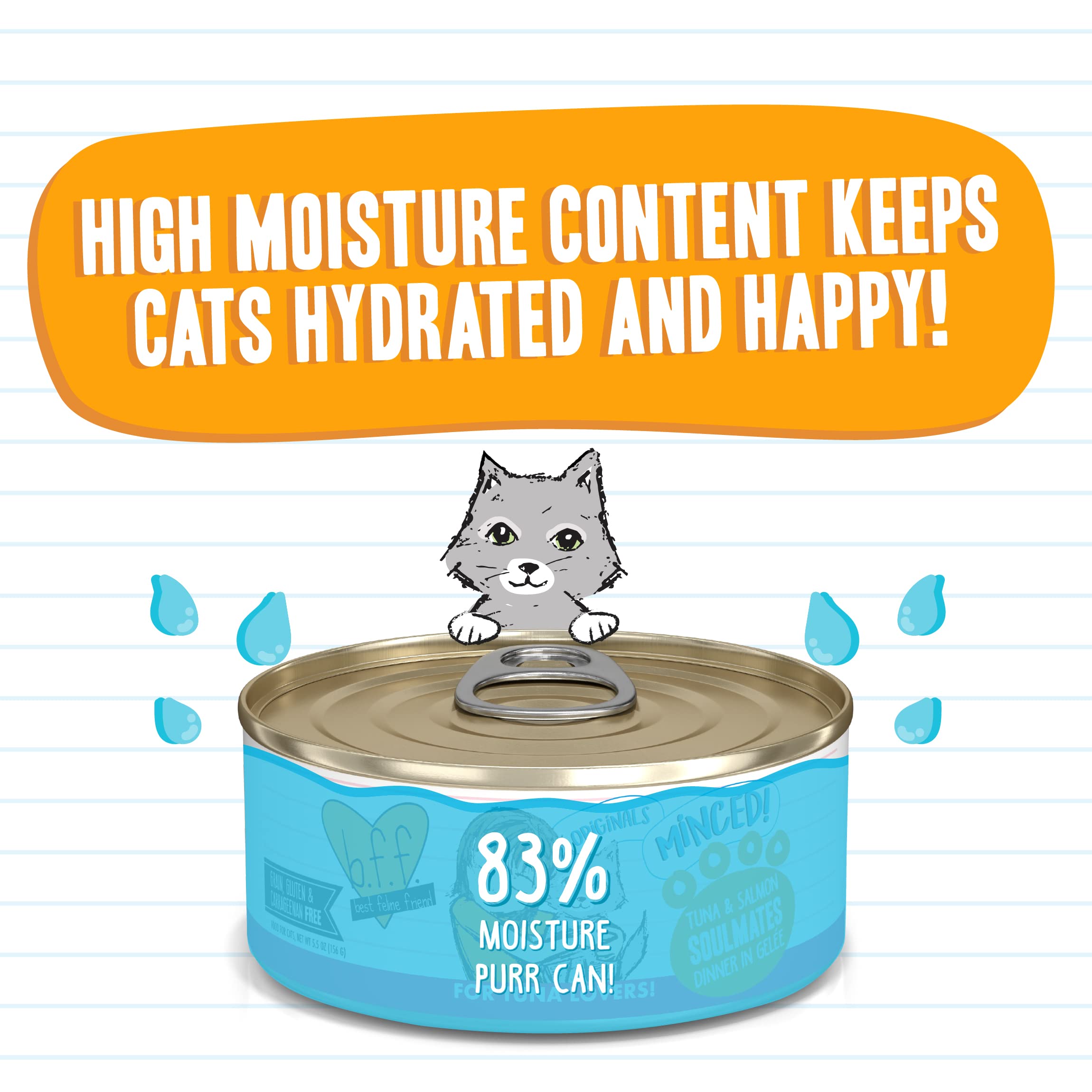 Weruva Best Feline Friend (B.F.F.) Grain-Free Cat Food, Tuna & Salmon Soulmates, 5.5-Ounce Can (Pack of 24)