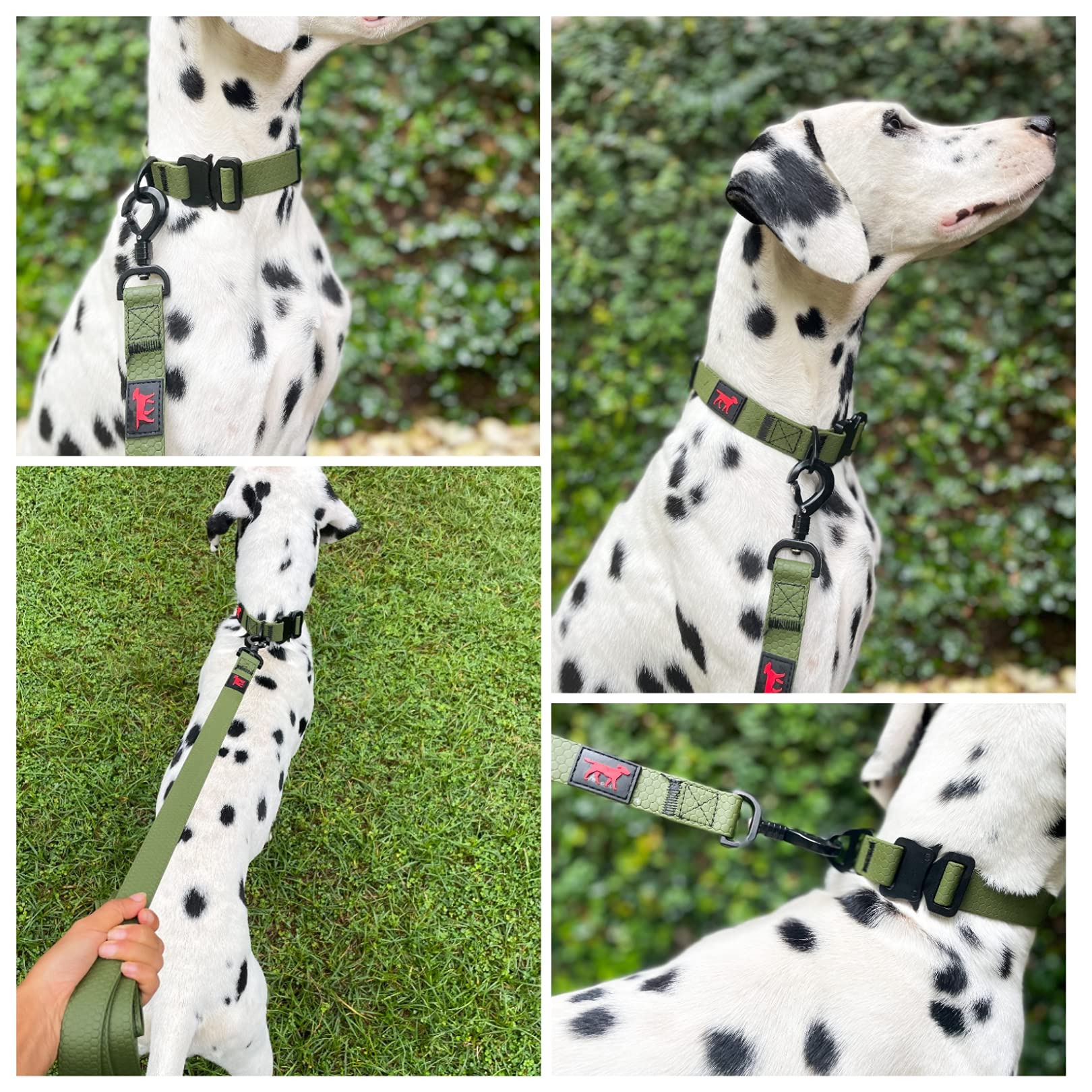 Tuff Pupper Waterproof Action Collar For Dogs | Heavy Duty Water Proof Dog Collar | Tear Proof & Odor Free | Rust-Proof Metal Ha