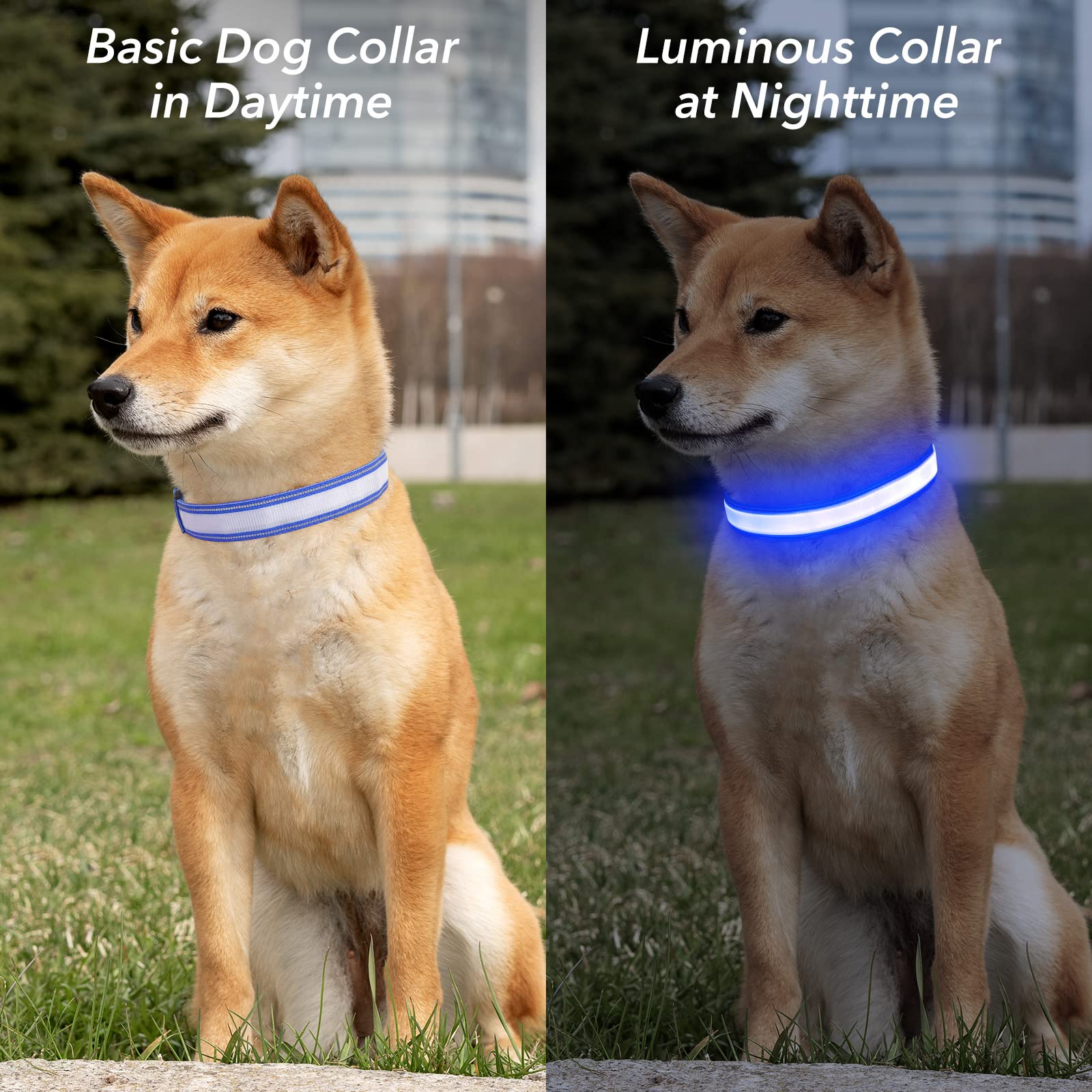 Visinite Light Up Dog Collars For Small Medium Large Dogs, Fully Adjustable Led Dog Collar Usb Rechargeable, 3 Glowing Modes Pet