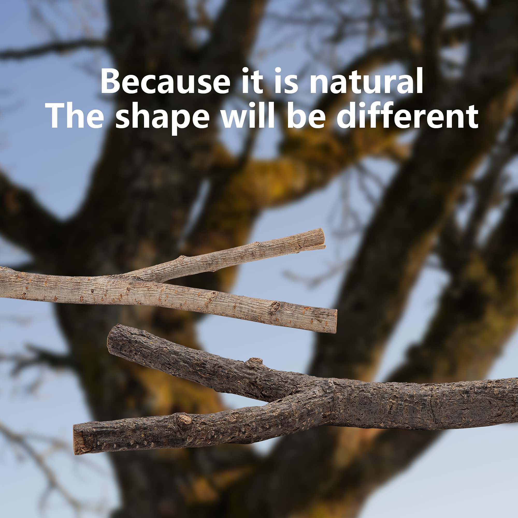 Ebaokuup 5Pcs Natural Wood Bird Perches For Parrot - Wooden Bird Parrot Stand Branches Parakeet Cage Perch Accessories For Small