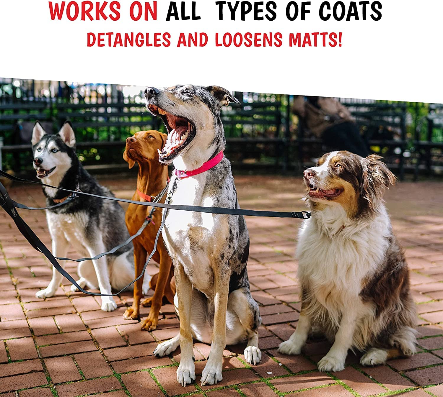 Warren London 10-In-1 After Bath Dog Spray | Dog Leave In Conditioner And Detangler Spray | Pet Grooming Spray With Aloe Vera, S