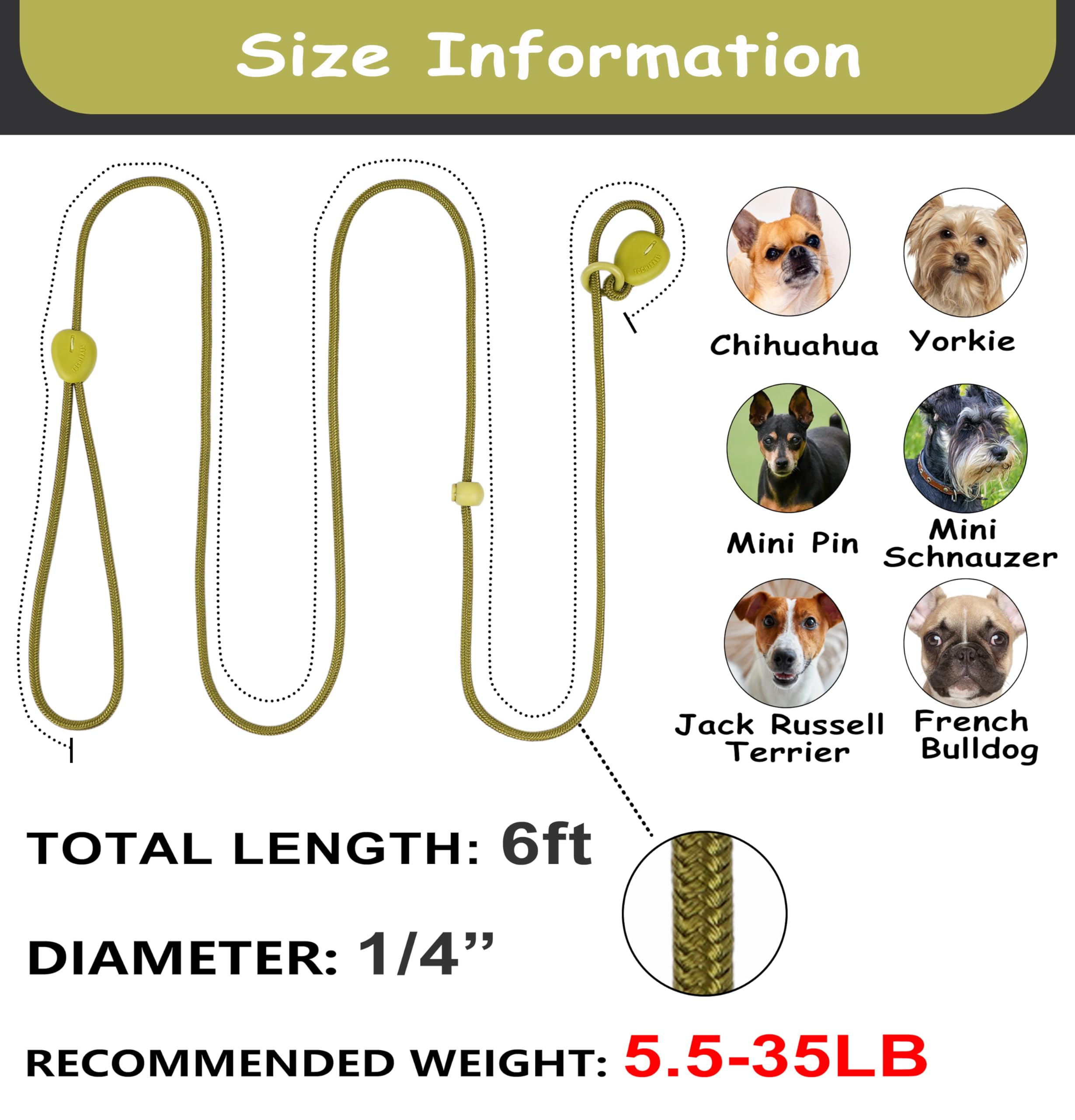 Green 6FT Heavy Duty Dog Training Leash - Comfortable Rope, No Pull, Suitable for Small to Medium Dogs
