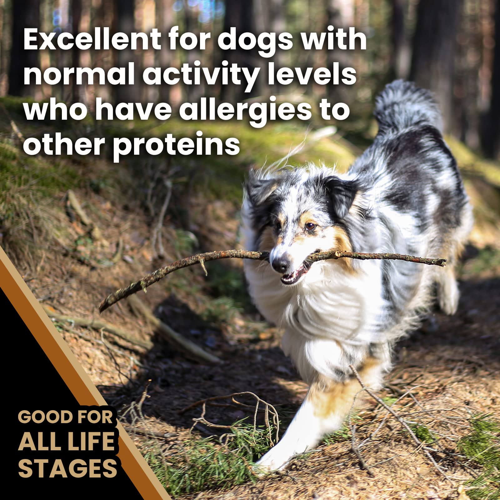 Victor Super Premium Dog Food - Grain Free Chicken Meal & Sweet Potato Recipe - Dry Dog Food for Dogs of All Life Stages - High