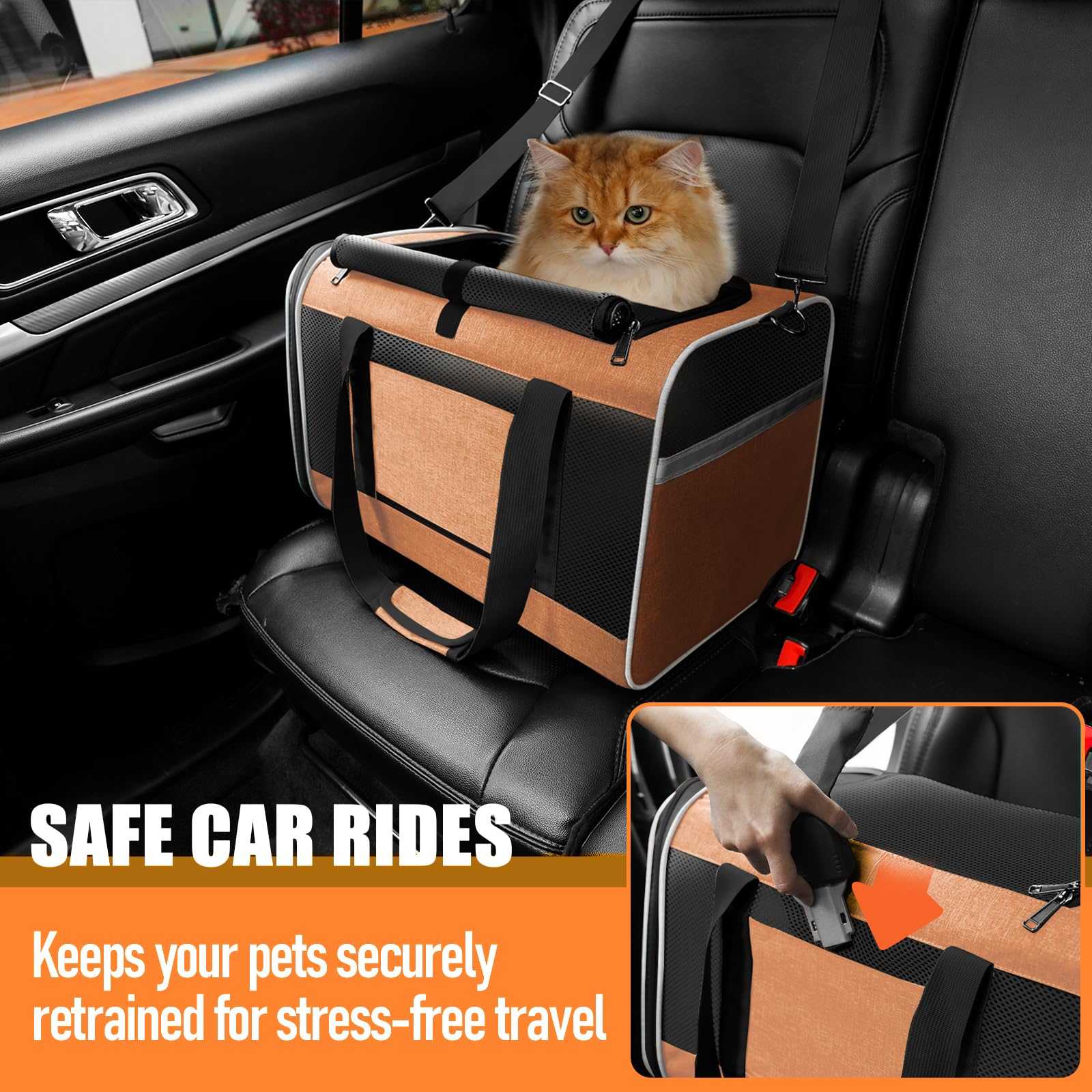 Gapzer Large Cat Carry Bag, Soft Shell Shih-Tzu Pet Transport Crate, 18X12X12 Top Opening Maltese-Dog Traveling Mesh Kennel 10 P