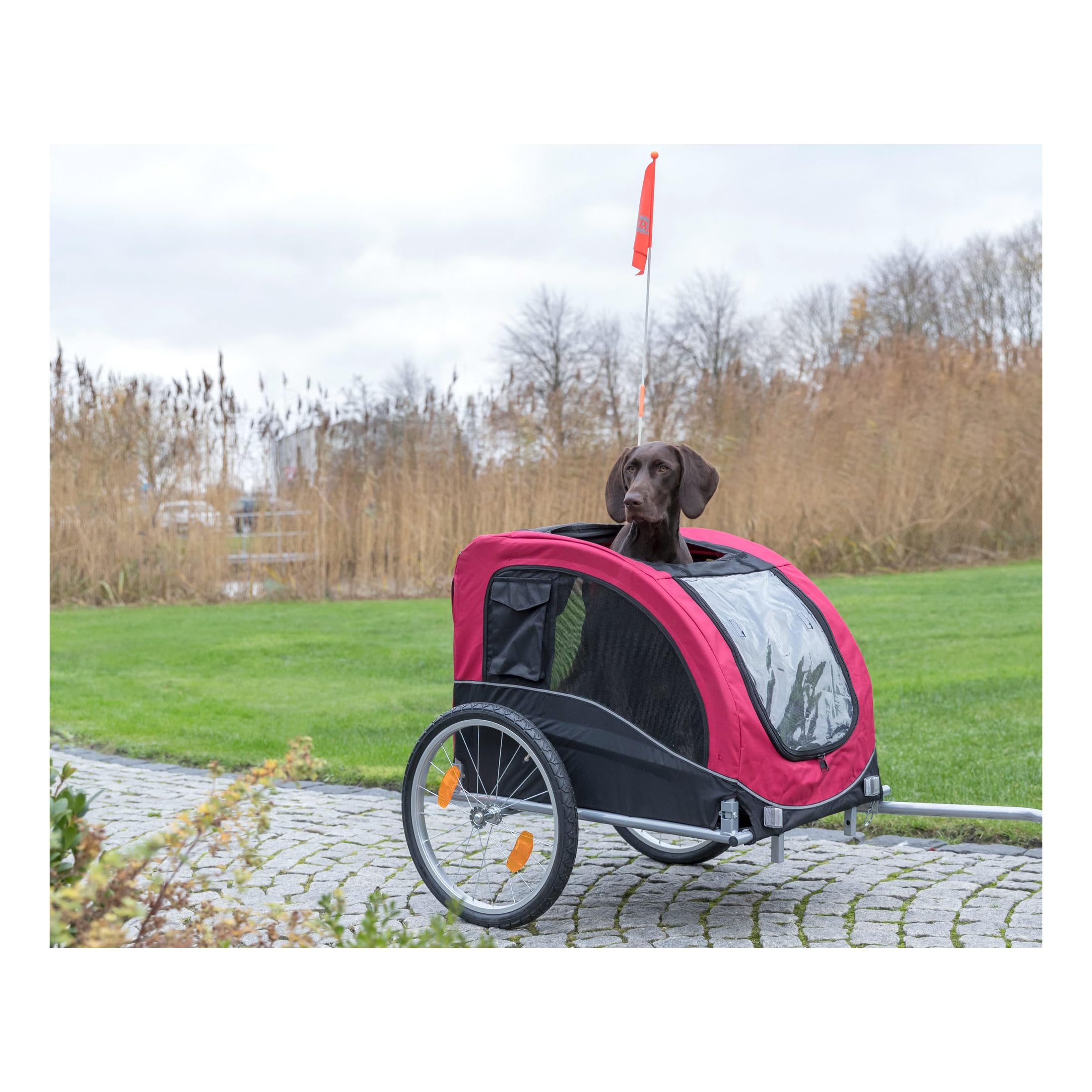 Trixie Convertible Dog Bike Trailer And Pet Stroller For Medium Dogs Up To 66 Lbs, Quick Set-Up And Fold Down, Red