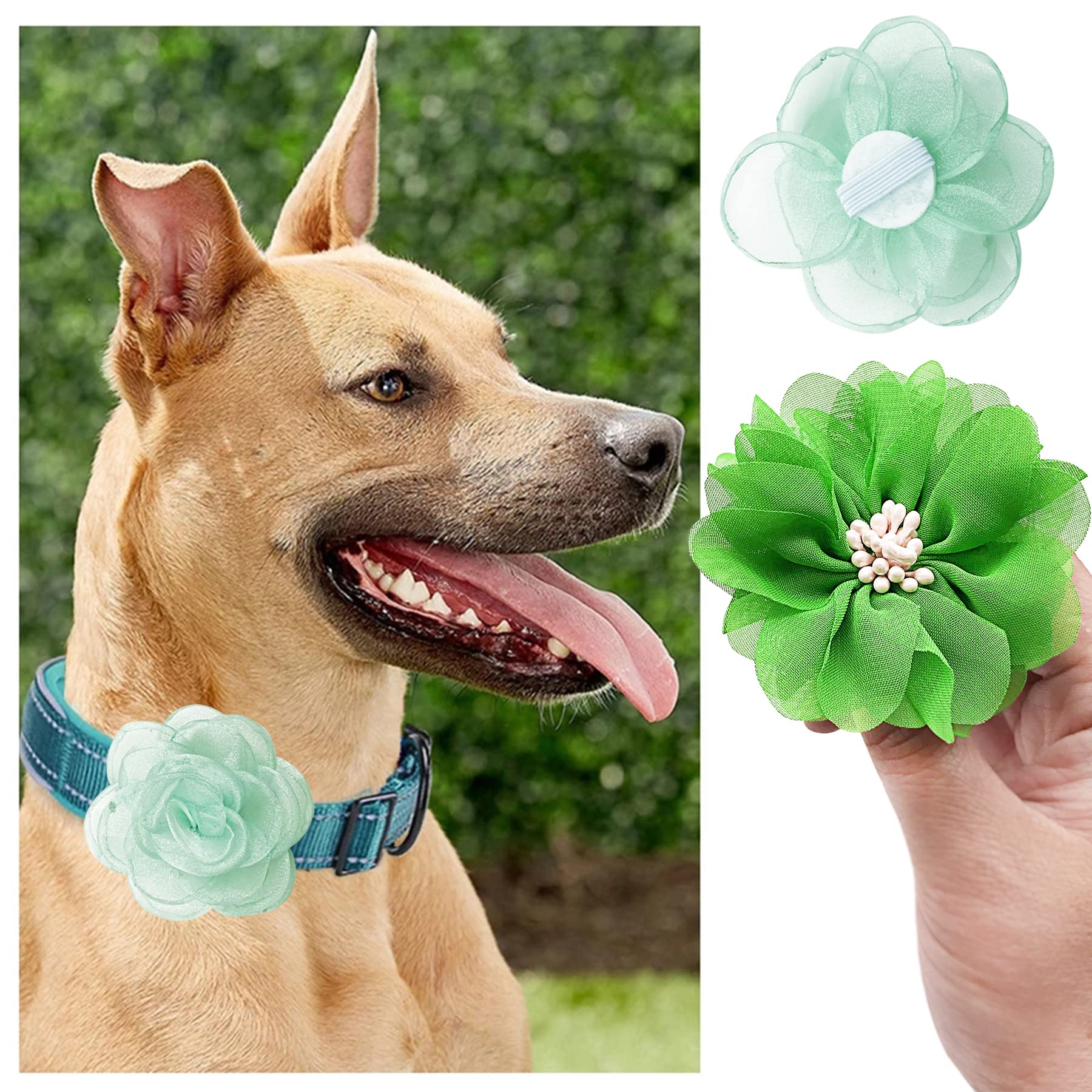 Pet Show 12Pcs Green Dog Collar Bows And Flowers Attachment For Girls Boys Puppies Cats Small Medium Dogs Collars Embellishment Decor For Wedding Birthday Parties Grooming Accessories