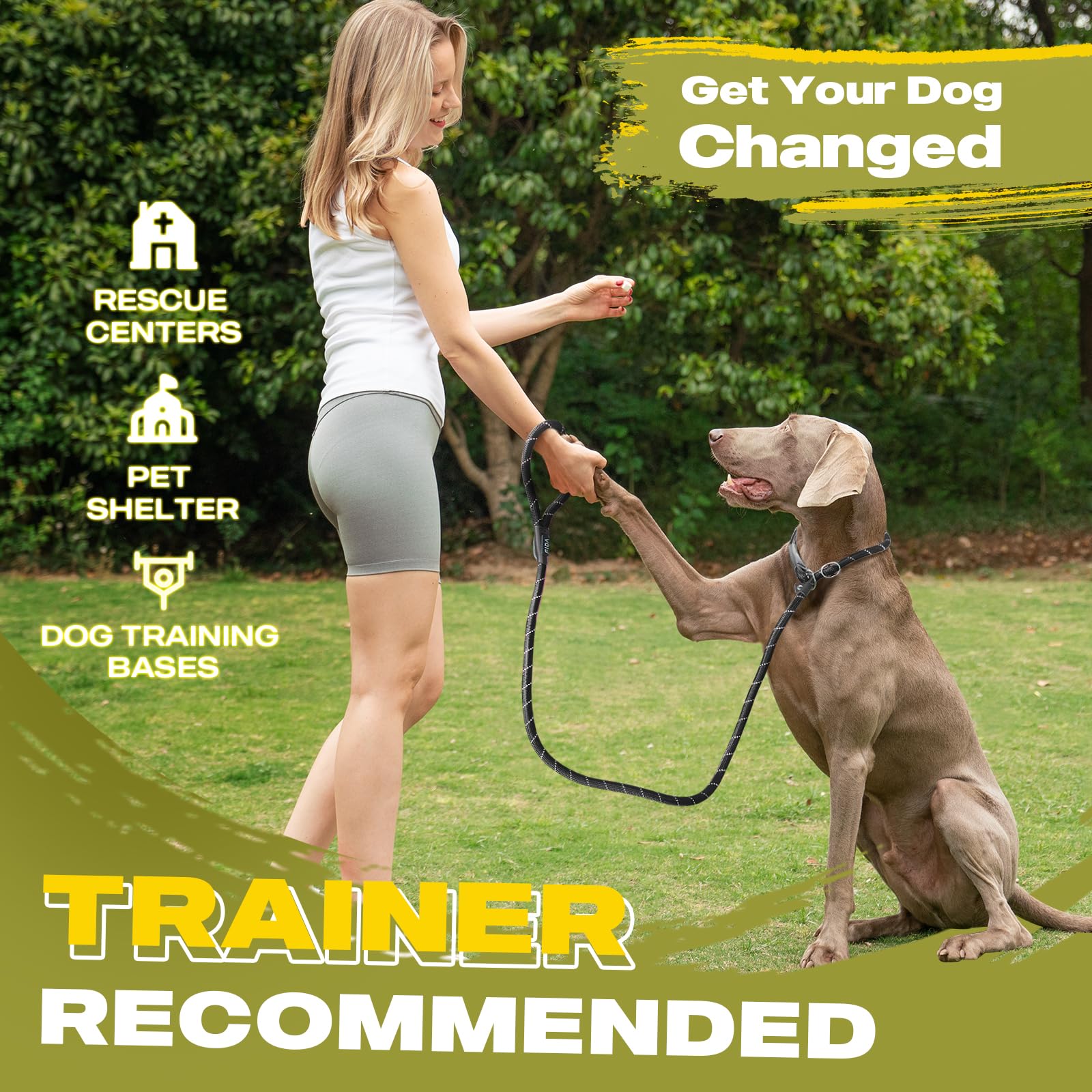 Fida Durable Slip Lead Dog Leash, 6 Ft X 1/2' Heavy Duty Comfortable Strong Rope Leash For Large, Medium Dogs, No Pull Pet Training Leash With Highly Reflective, Black