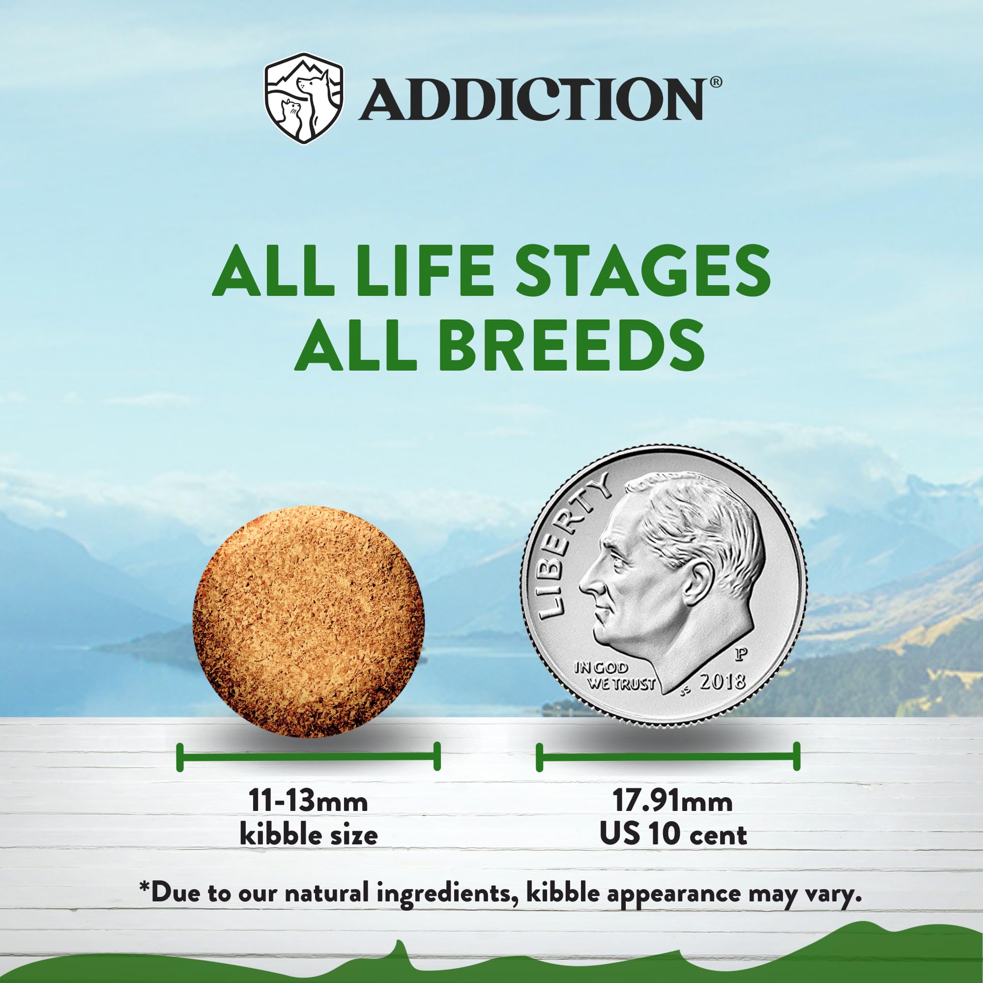 Addiction Vegetarian Dry Dog Food - Plant-Based Protein for Sensitive Skin - 4lb (Pack of 2) - Ideal for Dogs with Meat Allergies