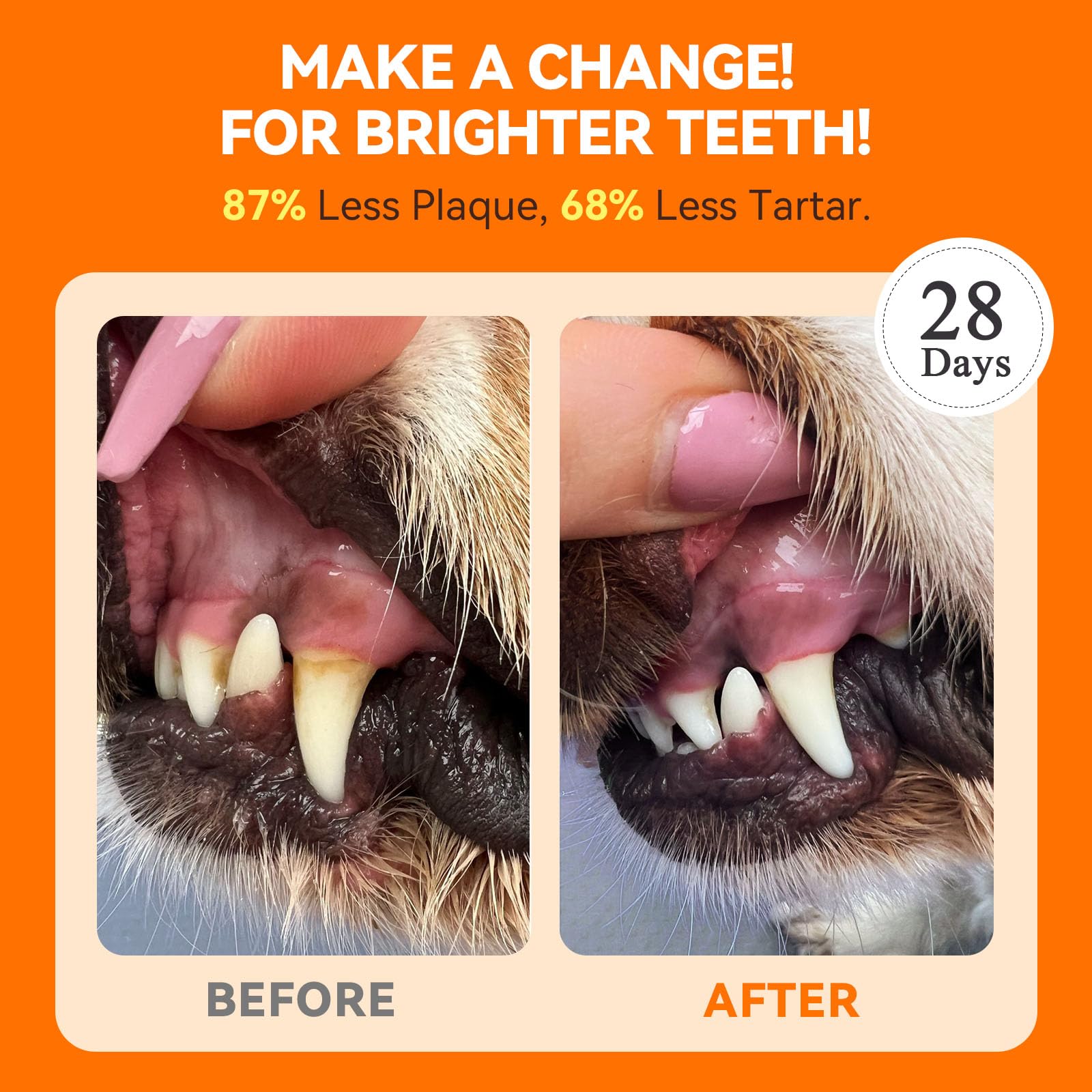 PUAINTA Dog Dental Powder, Dog Teeth Cleaning Powder for Teeth Cleaning Breath Freshener, Dental Care Plaque Off Tartar Remover