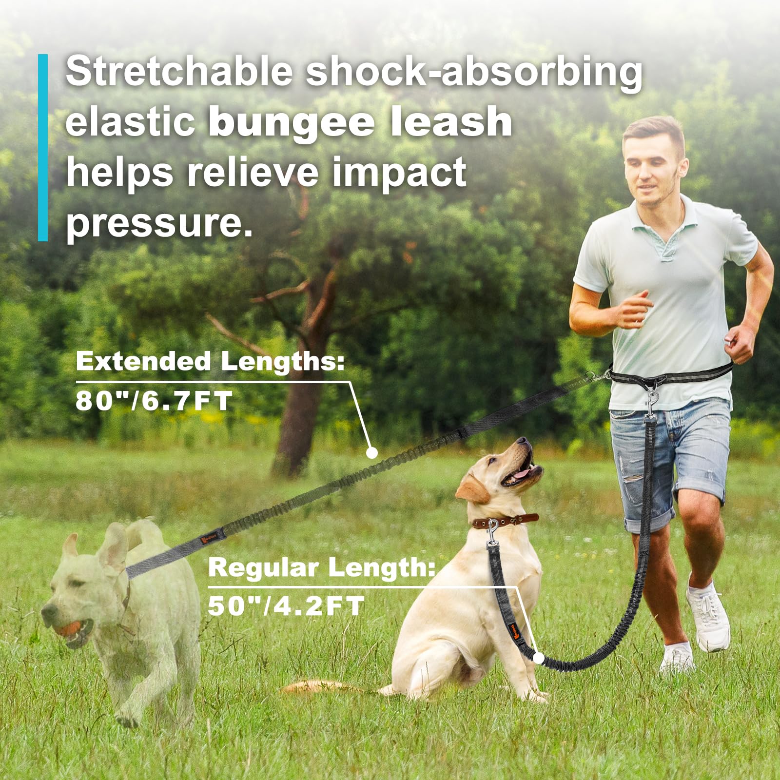 Laqibak Hands-Free Dog Leash, Adjustable 4.2-6.7ft Bungee, Black, Fits 26"-43" Waist, Rubber & Fabric, Ideal for Walking &