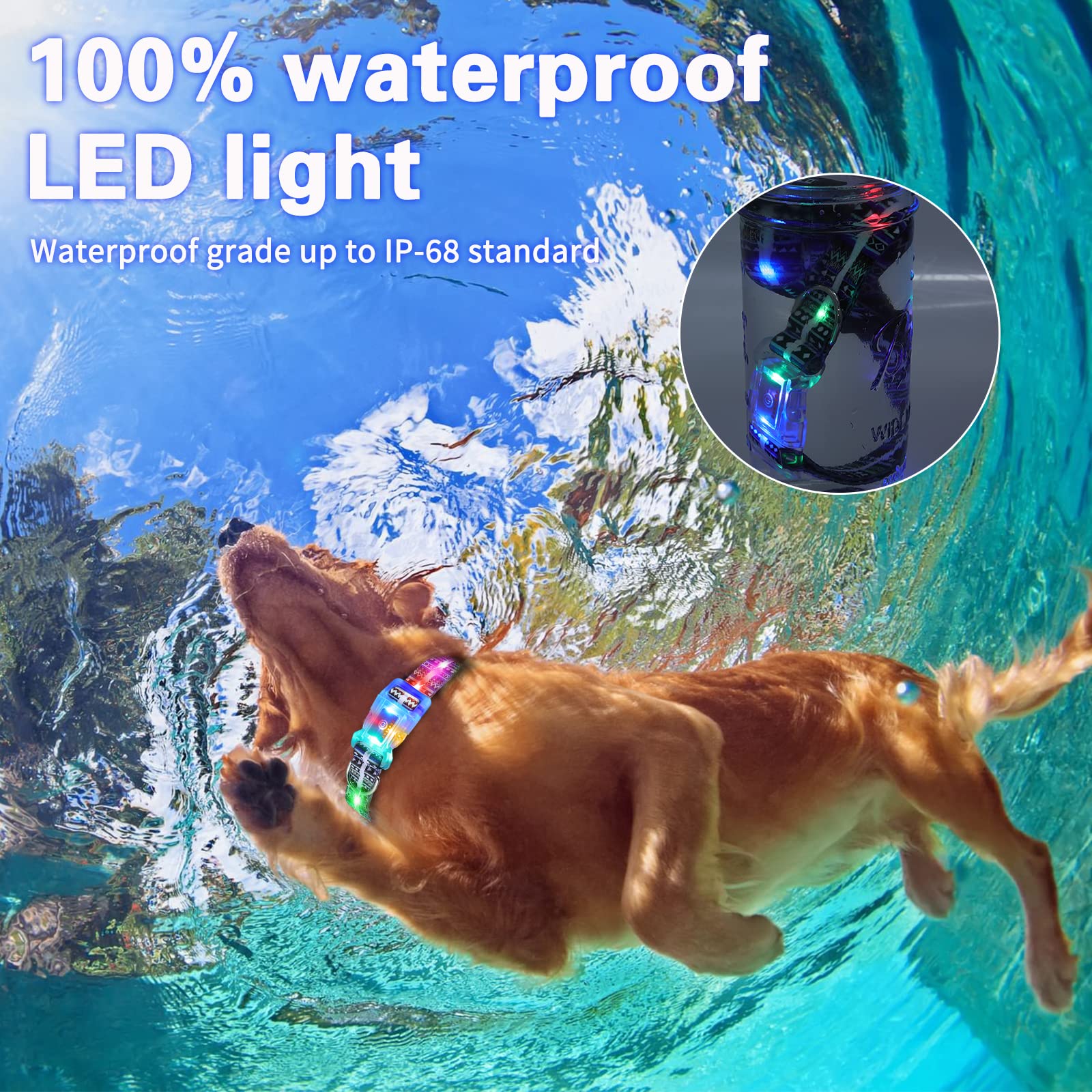 Yushang Light Up Dog Collars,Led Dog Collar Rechargeable Waterproof,2-In-1 Buckle Type Glow Collar For Medium Large Dogs- M(10-1