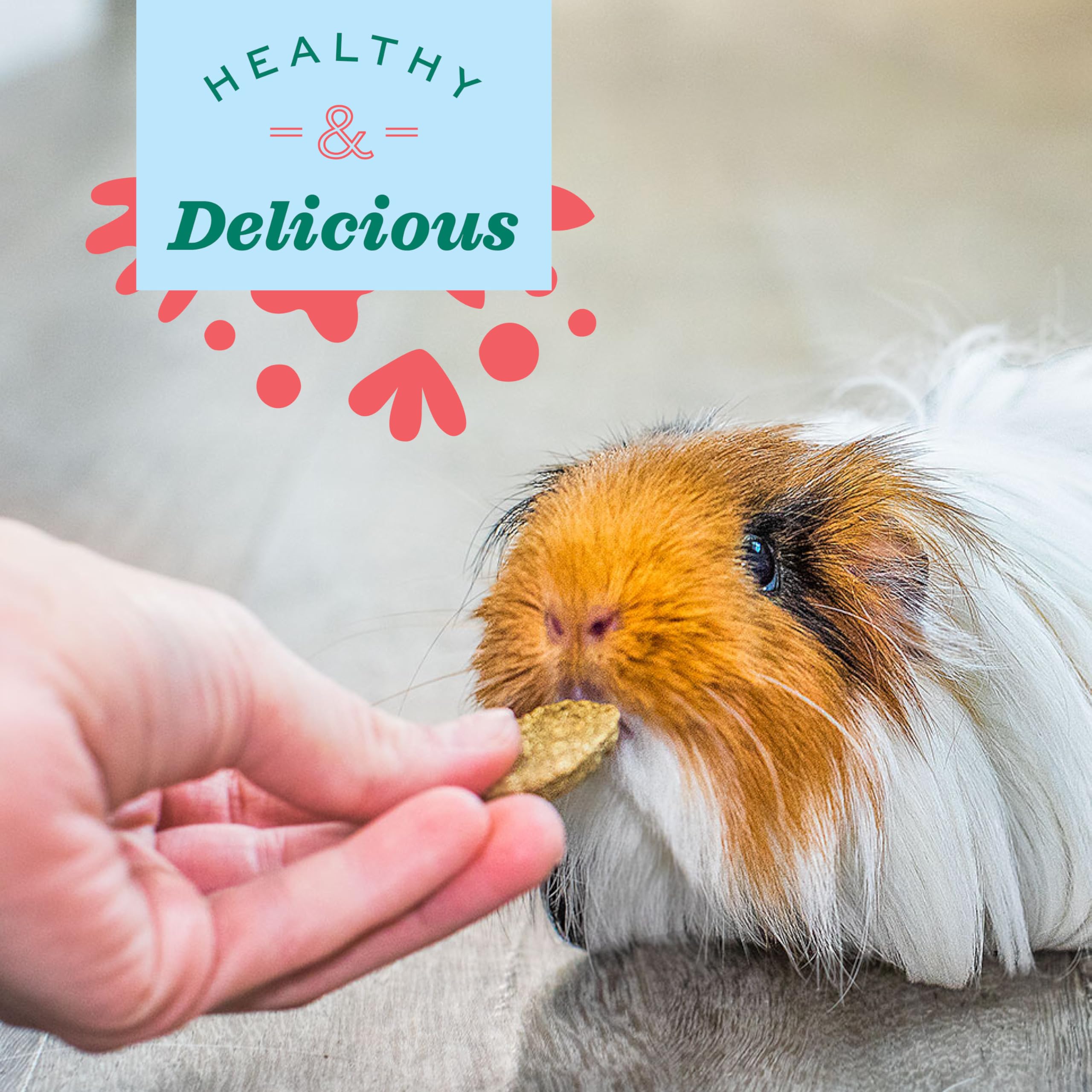 Oxbow Animal Health Natural Science Multi-Vitamin, High Fiber Supplement for Rabbit & Guinea Pig, Made with Timothy Hay, Multi-P