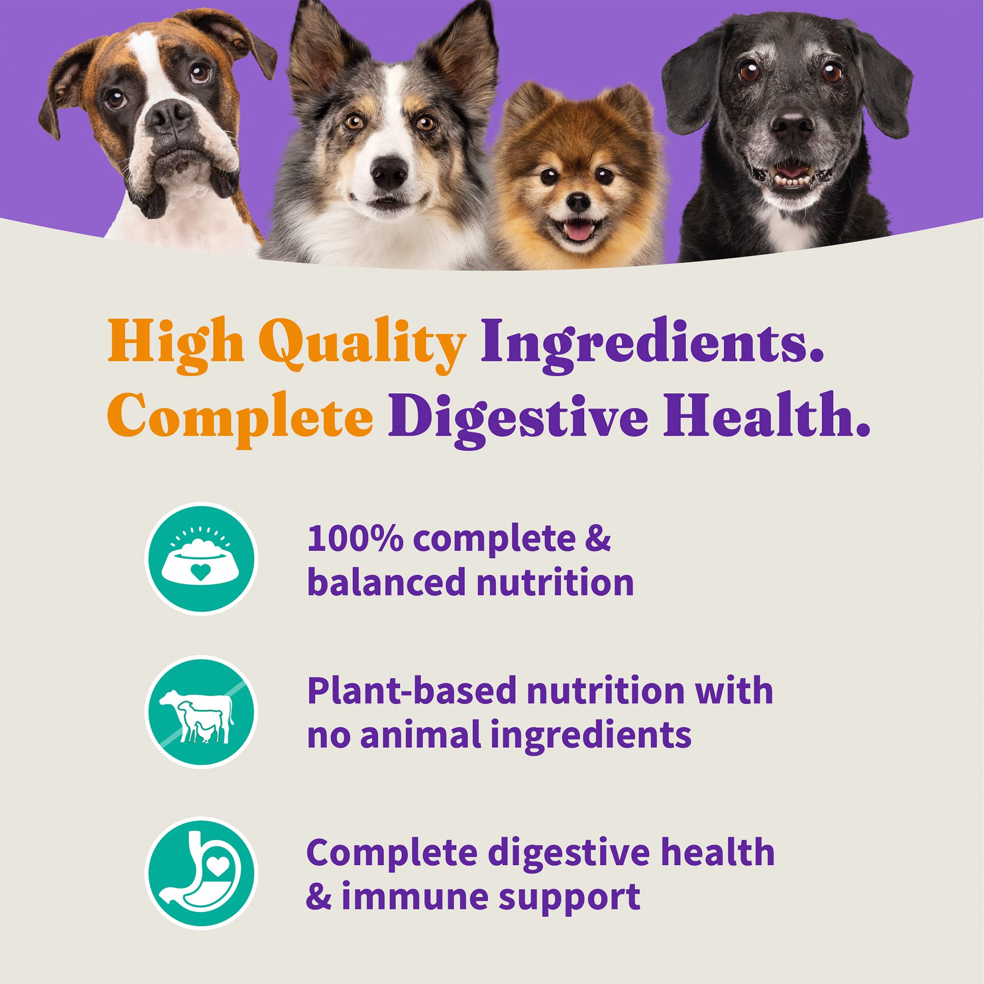 Halo Holistic Vegan Dog Food, Plant-Based Recipe with Kelp, Dry Dog Food, Complete Digestive Health, Kibble for Adult Dogs, 3.5