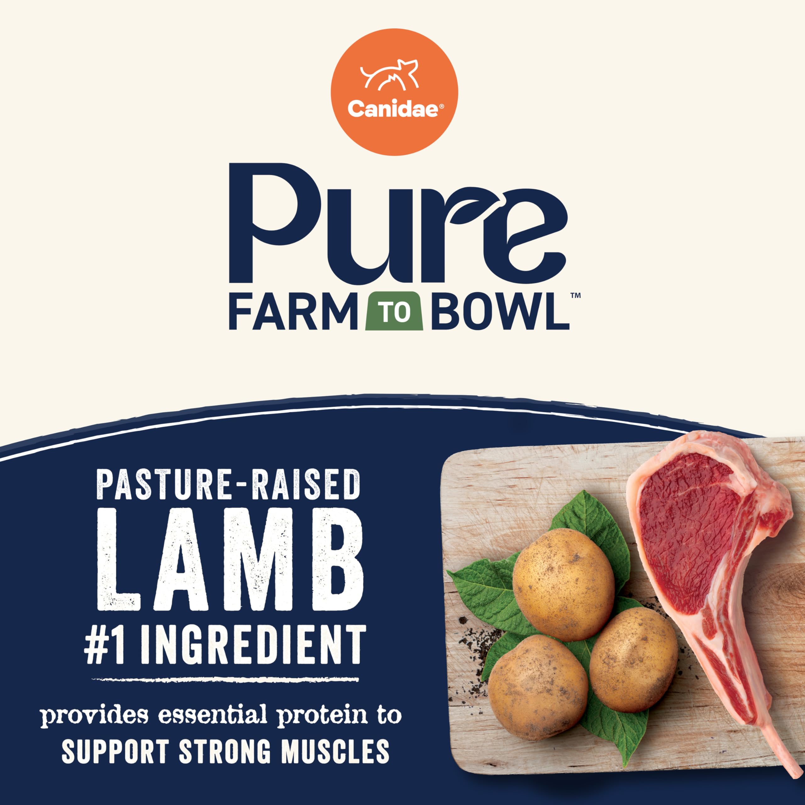 Canidae Pure Limited Ingredient Premium Adult Dry Dog Food, Real Lamb, Goat & Venison Meals Recipe, 12 lbs, Grain Free