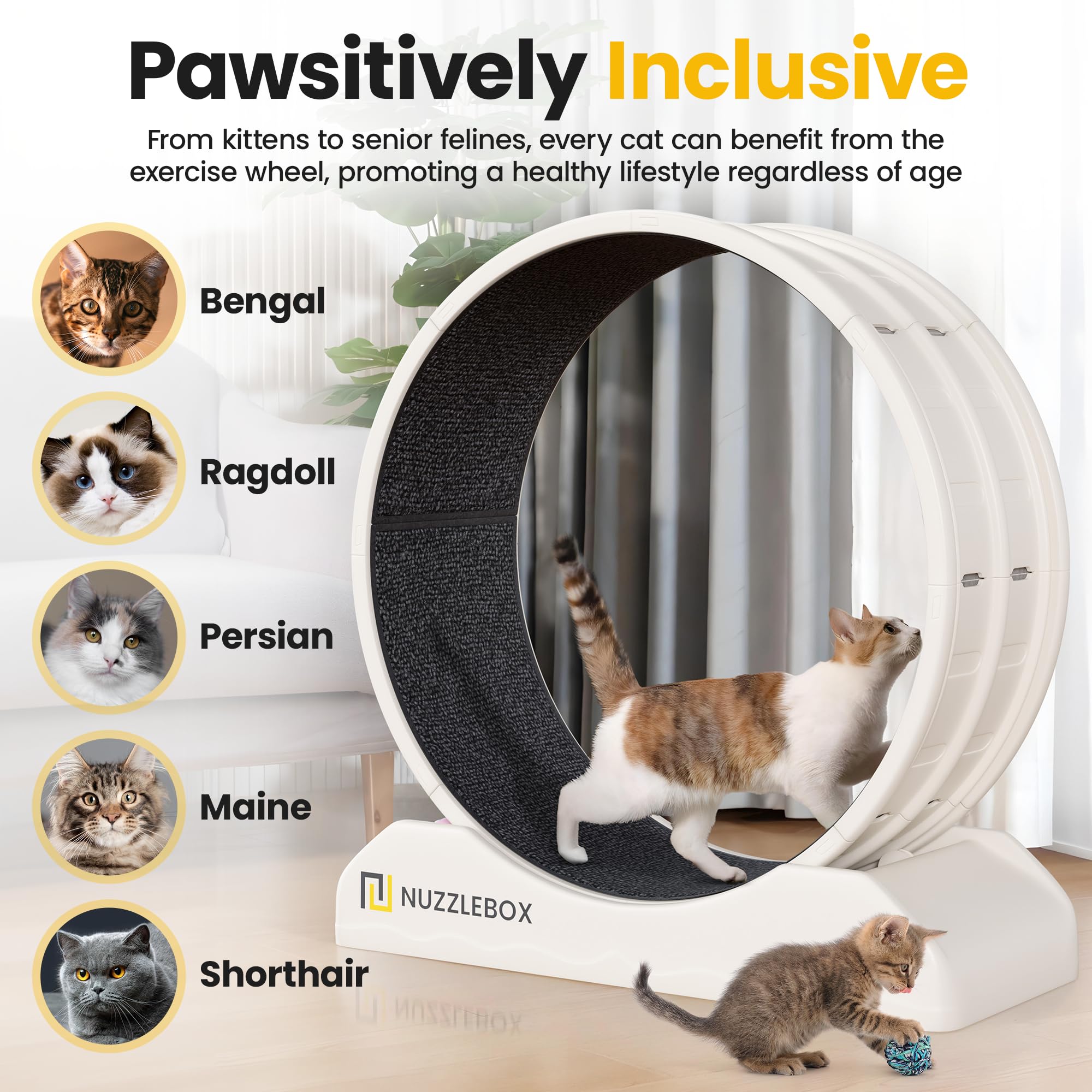 Nuzzlebox Cat Exercise Wheel With Teaser - Silent Indoor Running Wheel For Cats, Includes Safety Lock - Fitness And Entertainmen