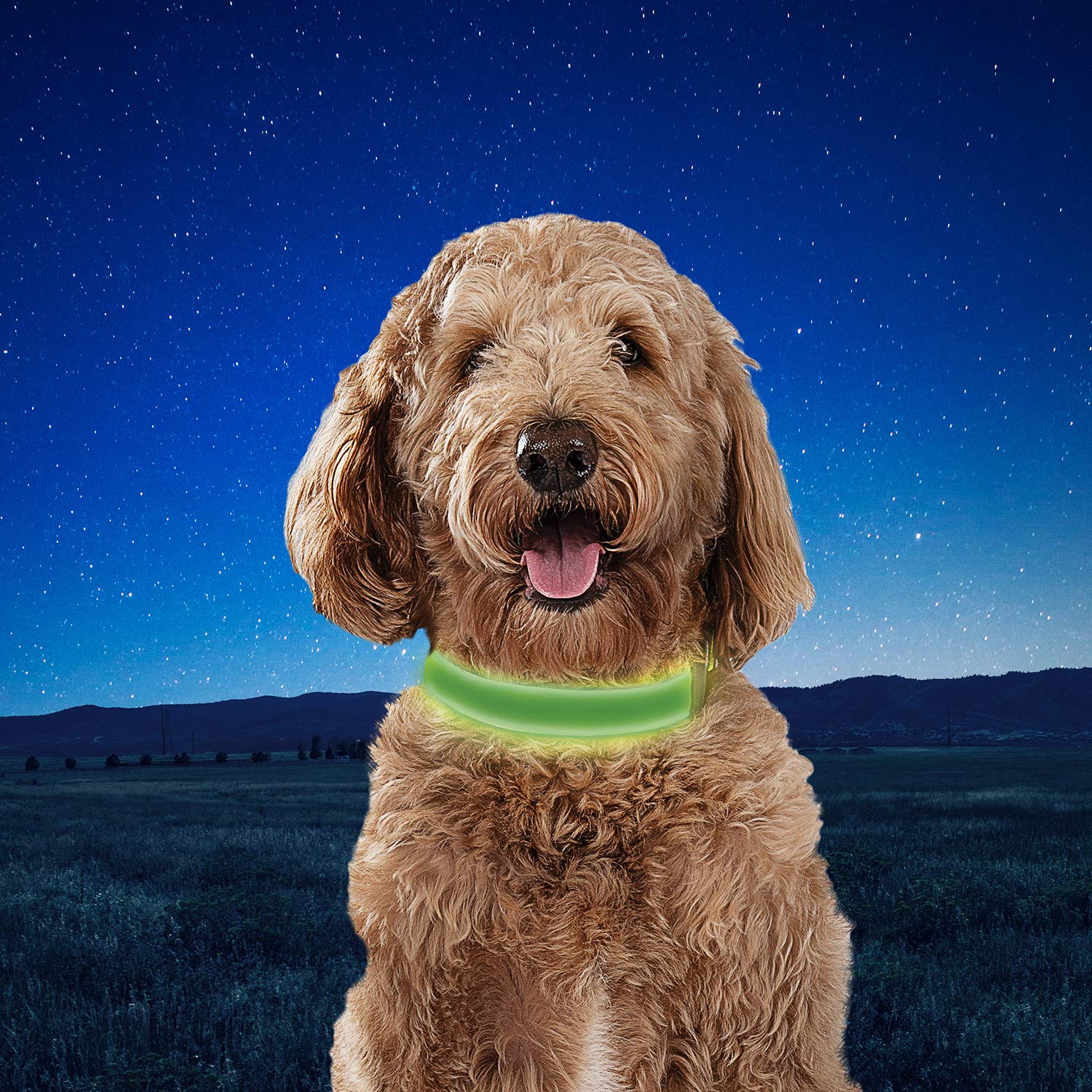 Nite Ize Nitedog Rechargeable Led Collar, Usb Rechargeable Light Up Dog Collar W/Metal Buckle, Water Resistant, Lime