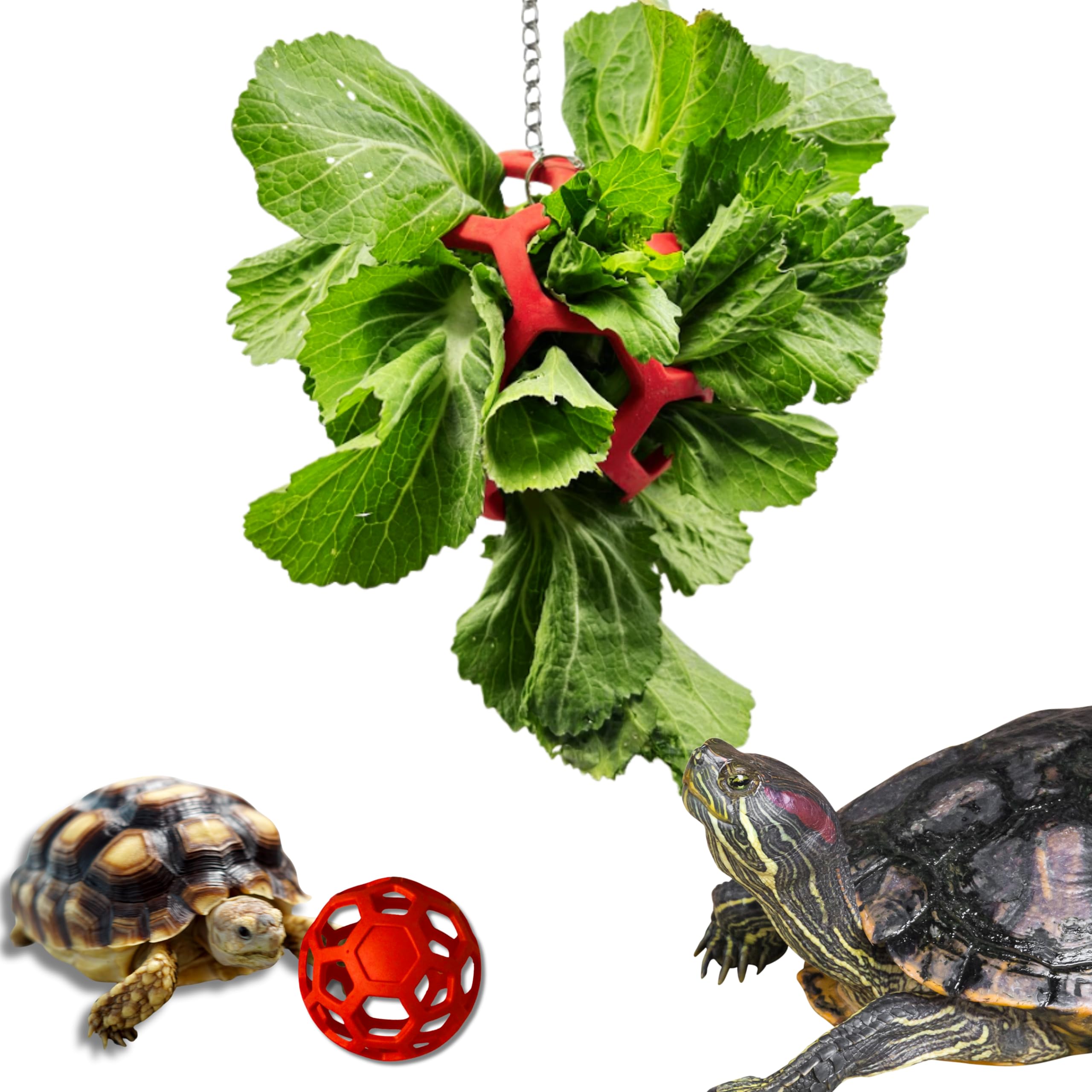 5.5in Turtle Feeder Ball with Chain, Hanging Tortoise Treat Ball, Turtle Enrichment Toys, Turtles Hay Feeding Balls, Foraging Fo