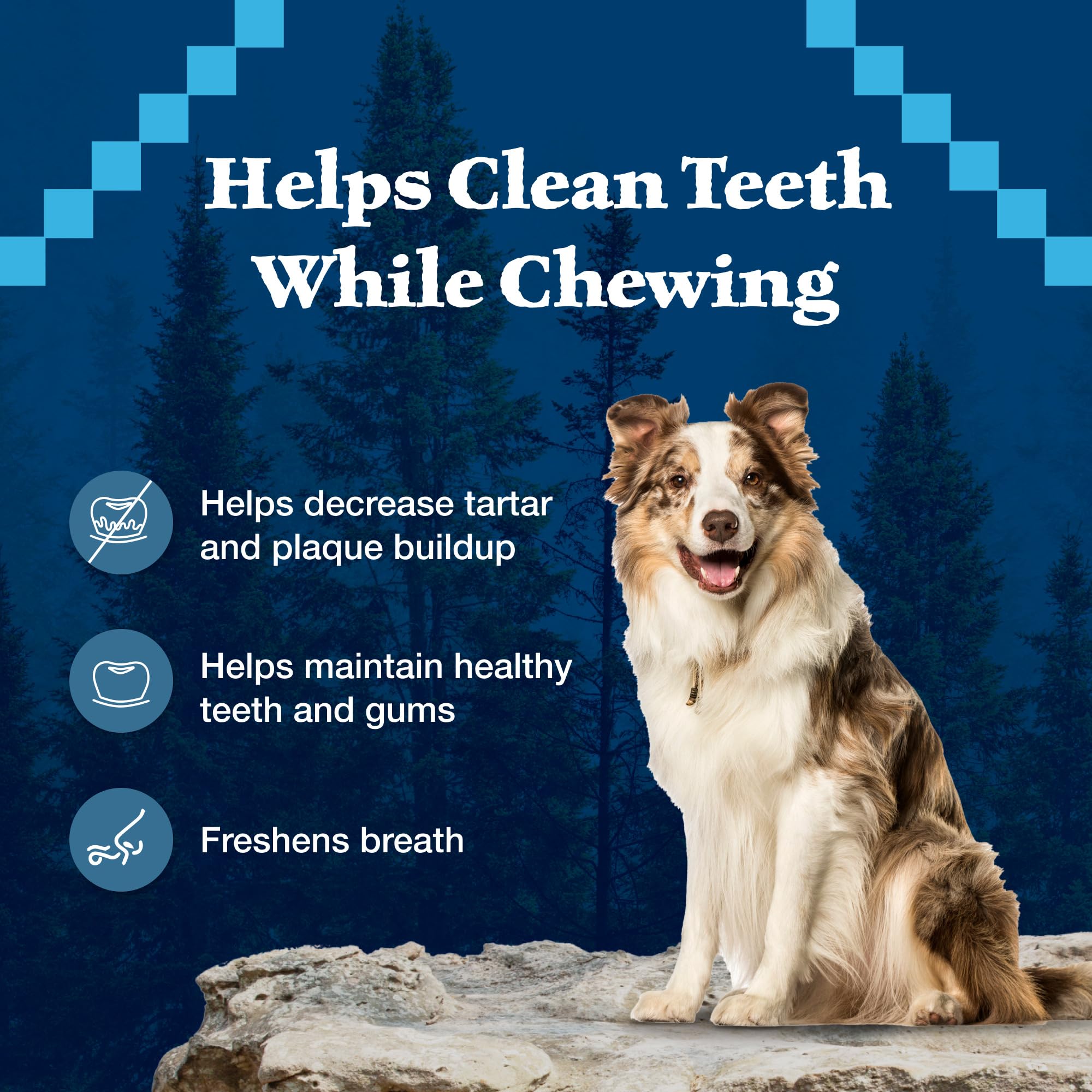 Blue Buffalo Wilderness Trail Treats Wild Bones Large Dental Chews, Grain-Free Dog Bones For Large Dogs Made with Natural Ingred