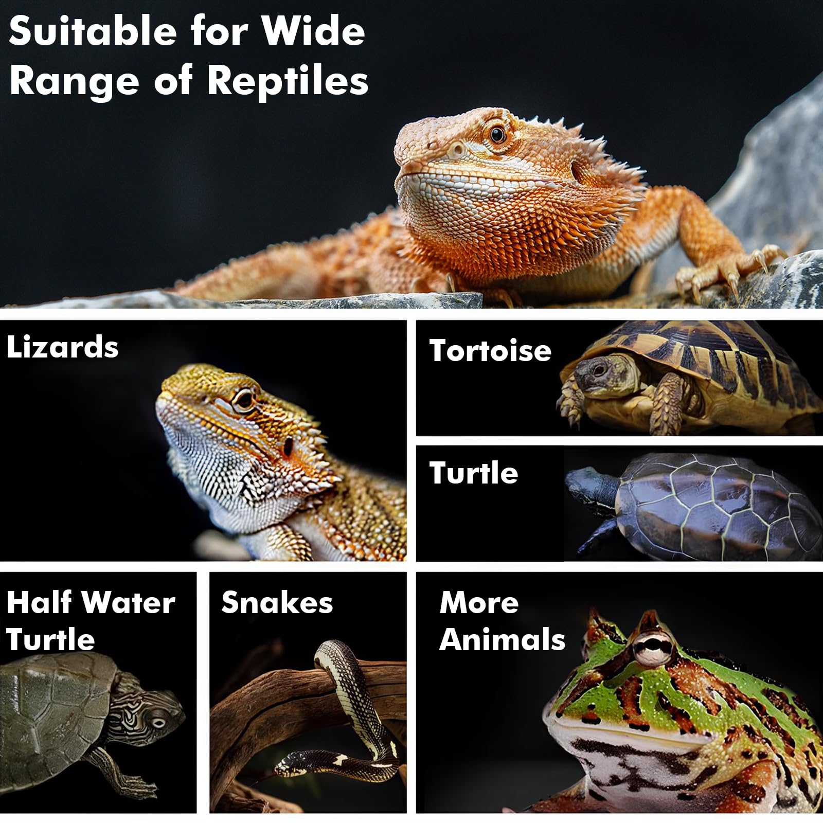 YUNCHY Reptile Heat Lamp, 100W Heat Lamp Bulbs for Reptiles 2 Pack, Amphibians Basking Heat Lamp Bulbs, UVA Daylight Basking Lig