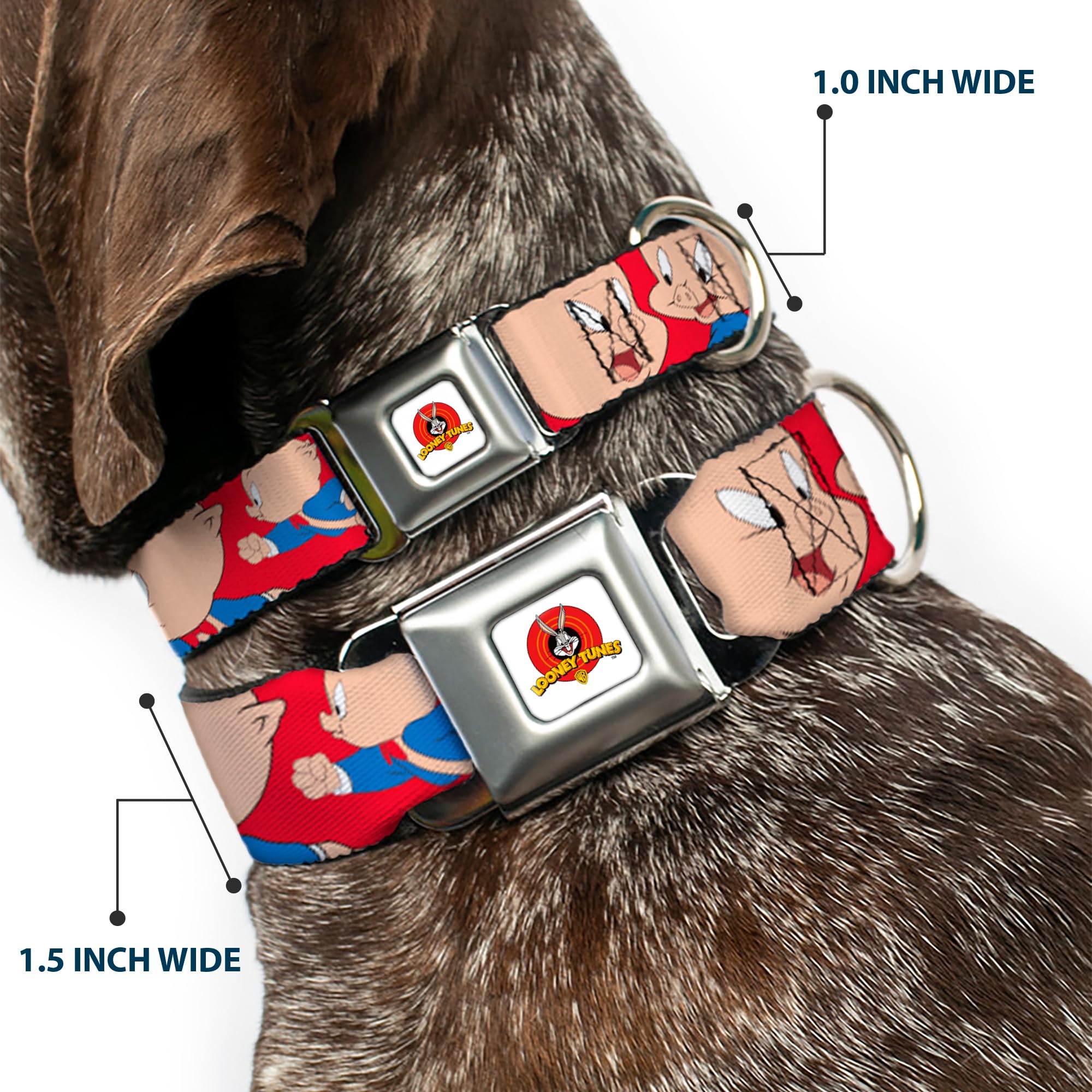 Buckle-Down Dog Collar Seatbelt Buckle Porky Pig Expressions Red 16 To 23 Inches 1.5 Inch Wide, Multicolor (Dc-Wltpp001-Wm)