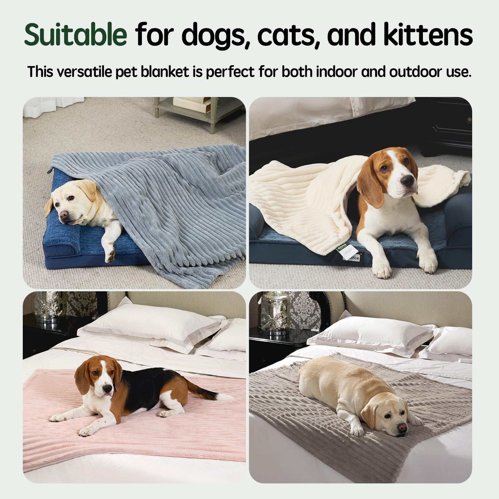 BALANCE Waterproof Dog Blanket for Small Dogs, Washable Double Sided Pet Blankets with Milk Plush and Super Soft Velvet, Pee Pro