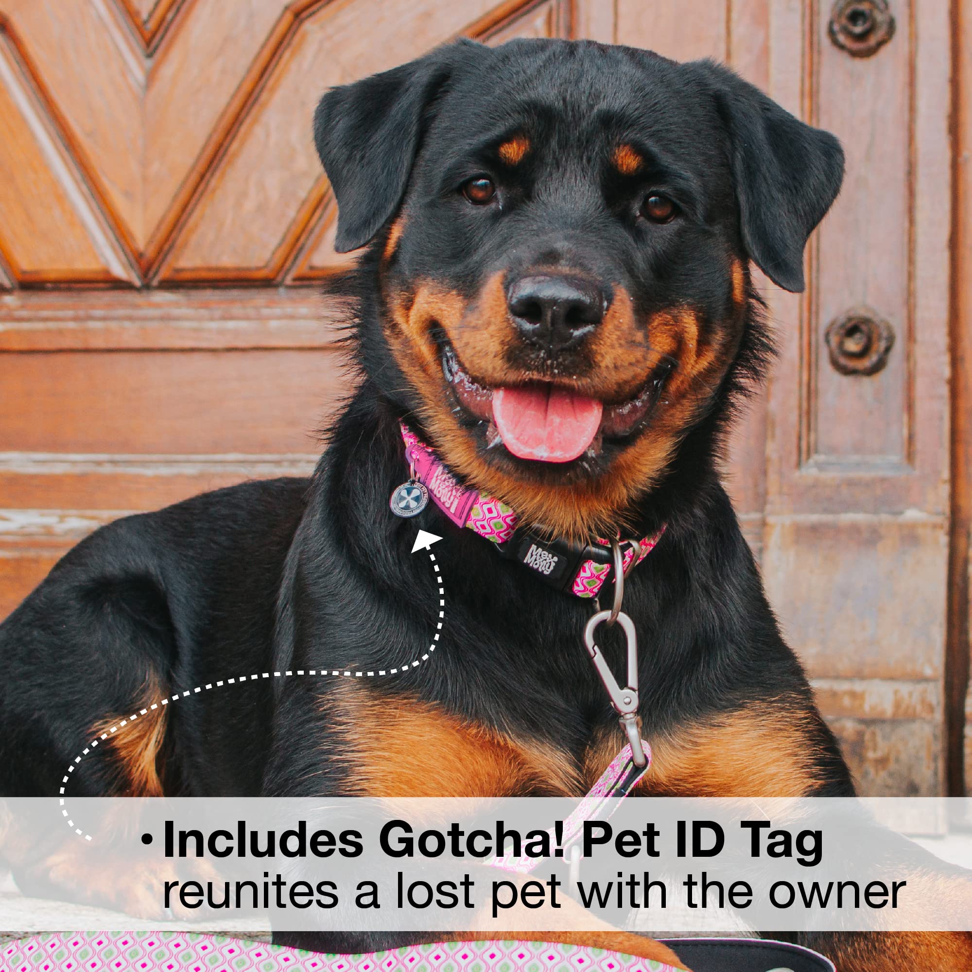 Max & Molly Urban Pets Smart ID Dog Collar - Soft Neoprene, Waterproof, Machine Washable, Power Buckle, Gotcha! QR Tag & Custom