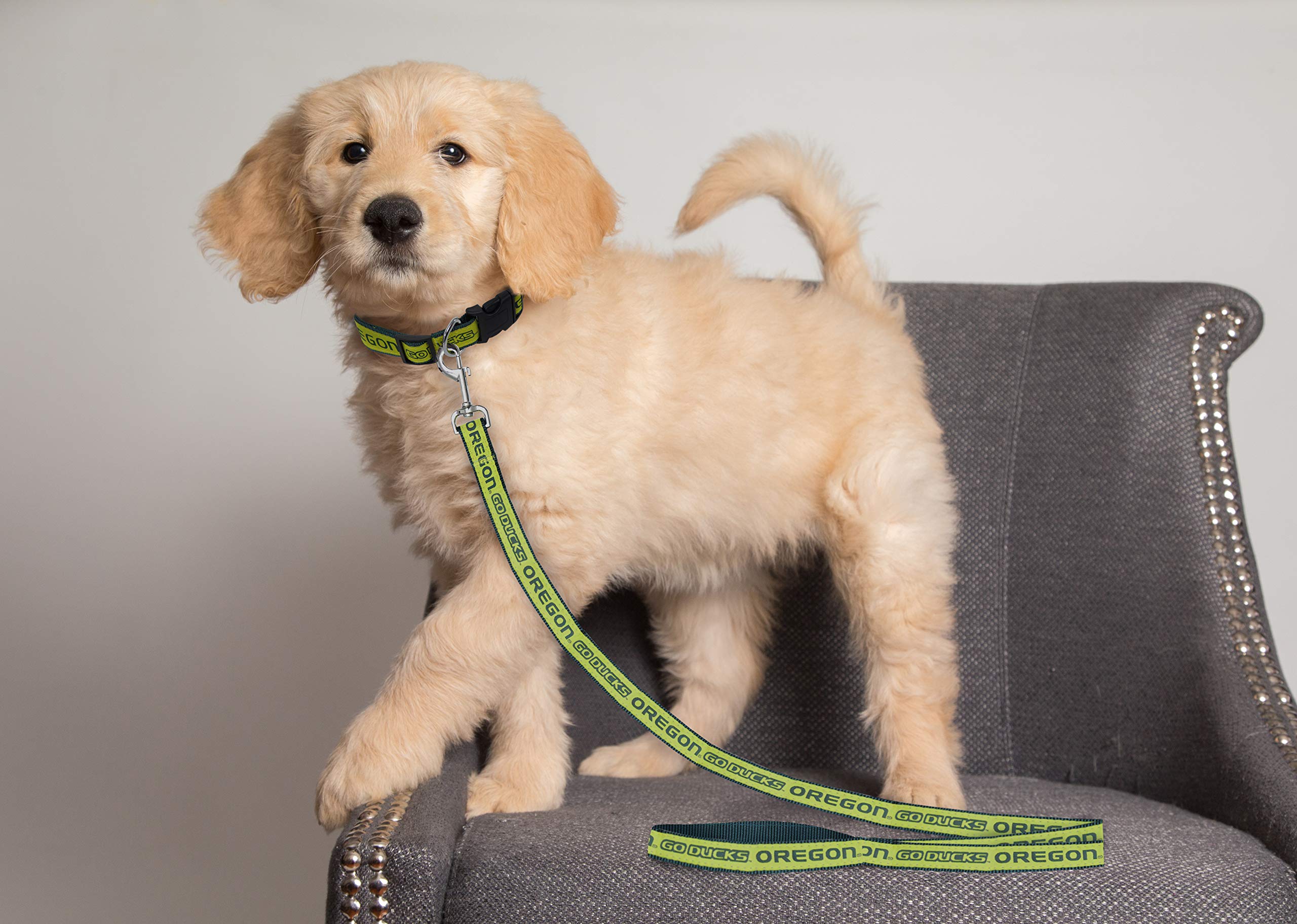 Ncaa Pet Leash, Medium, Oregon Ducks, Dog Leash, Shiny & Colorful Leash For Dogs & Cats Licensed By The Ncaa