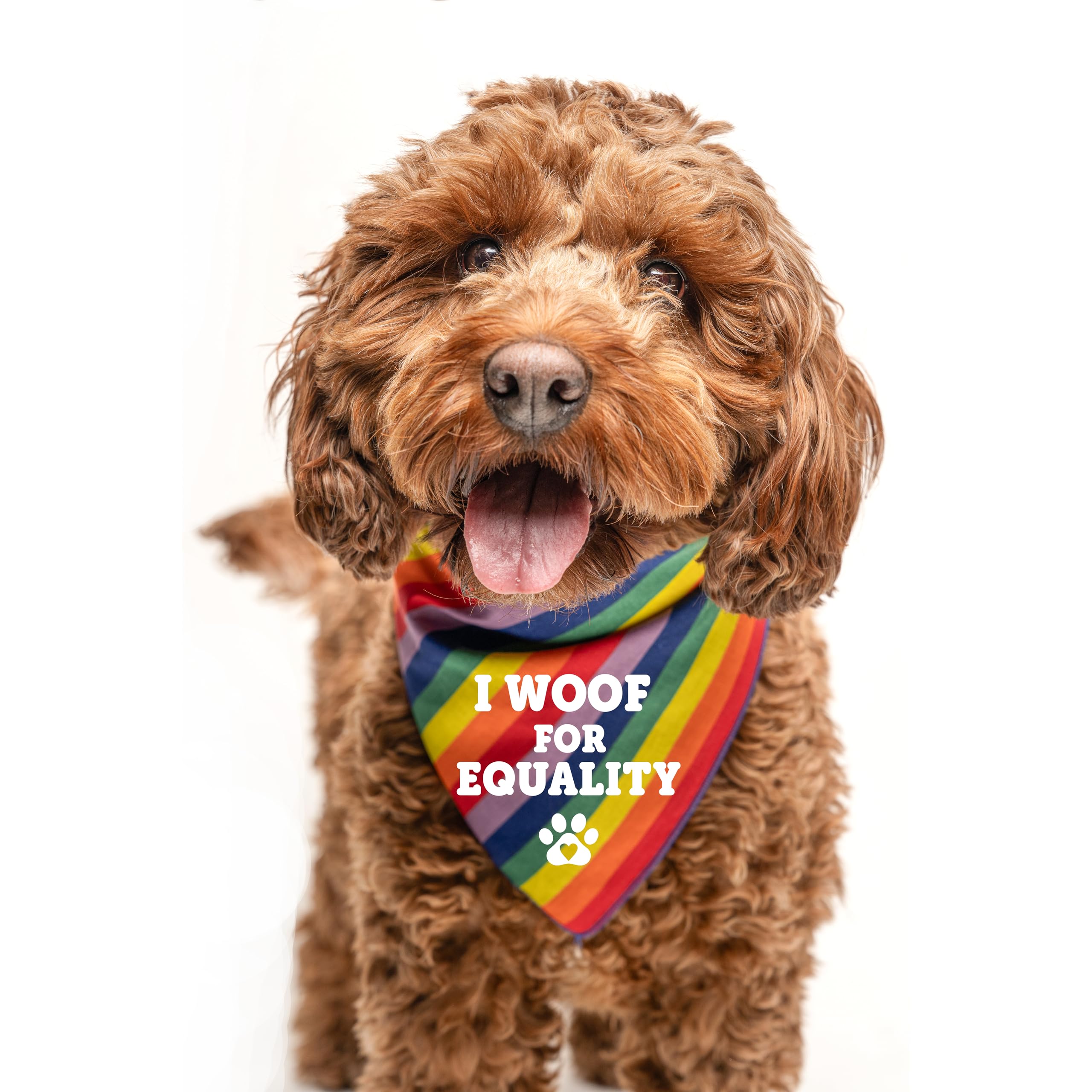 I Woof For Equality Dog Bandana | 100% Cotton Adjustable Triangle | Made In Usa | Pride Day | Lgbtq+ | Rainbow | Parade | One Si