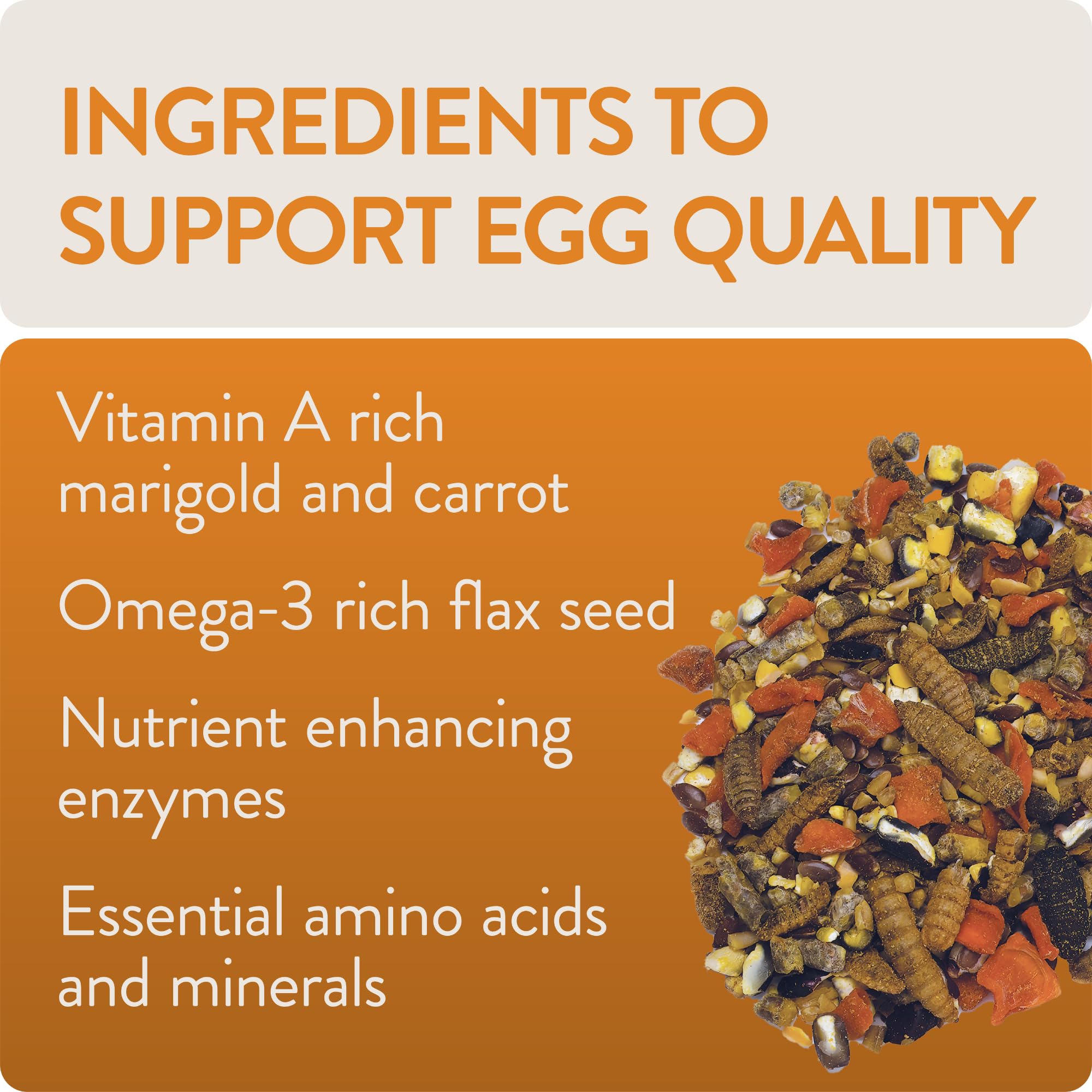 FLOCKLEADER Enhance, Functional Poultry Treats for Egg Production & Quality, 3.5 lb