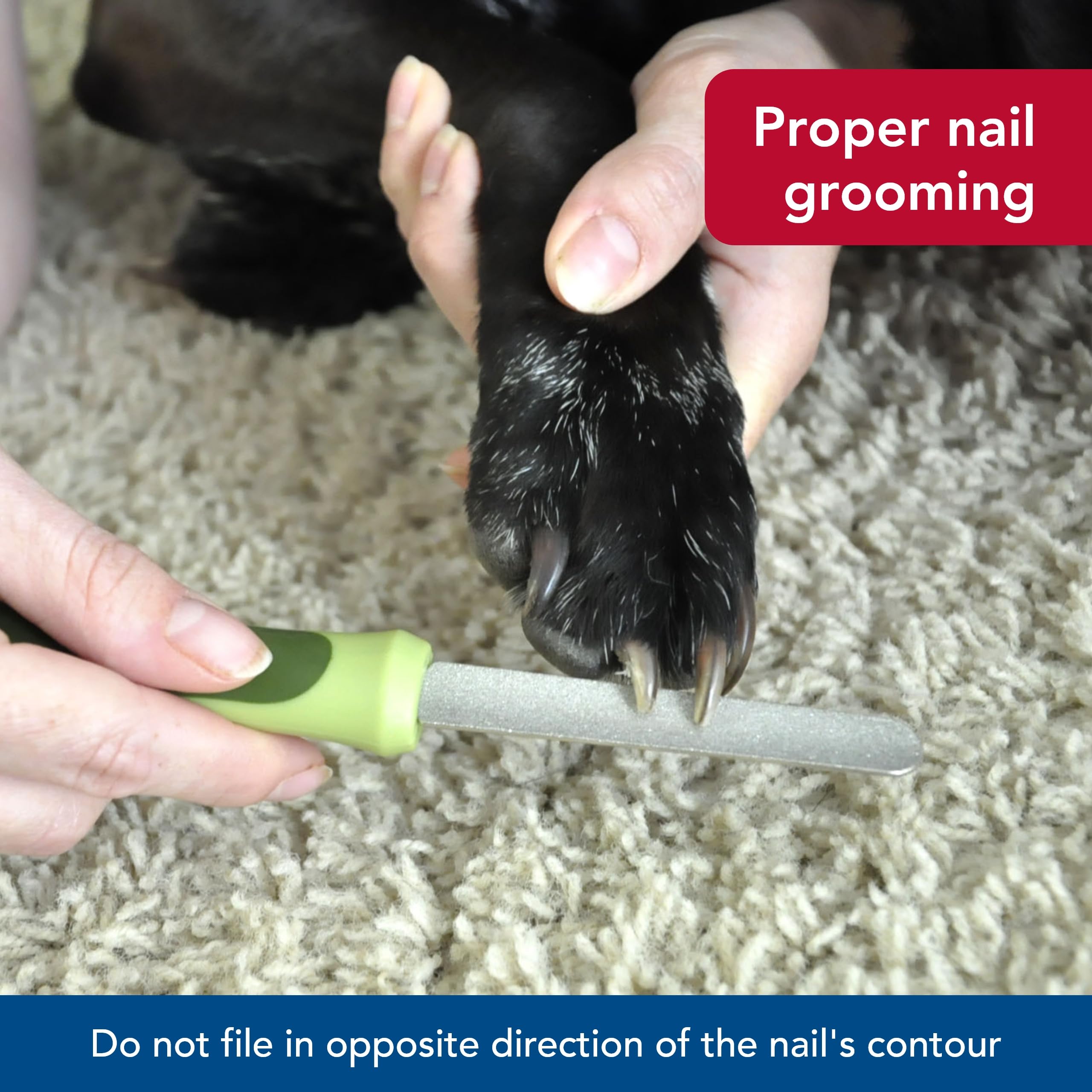 Coastal Pet Safari Dog Diamond Nail File - Diamond Finish For Smooth Nails - Removes Burs From Outdoor & Indoor Dogs - One Size