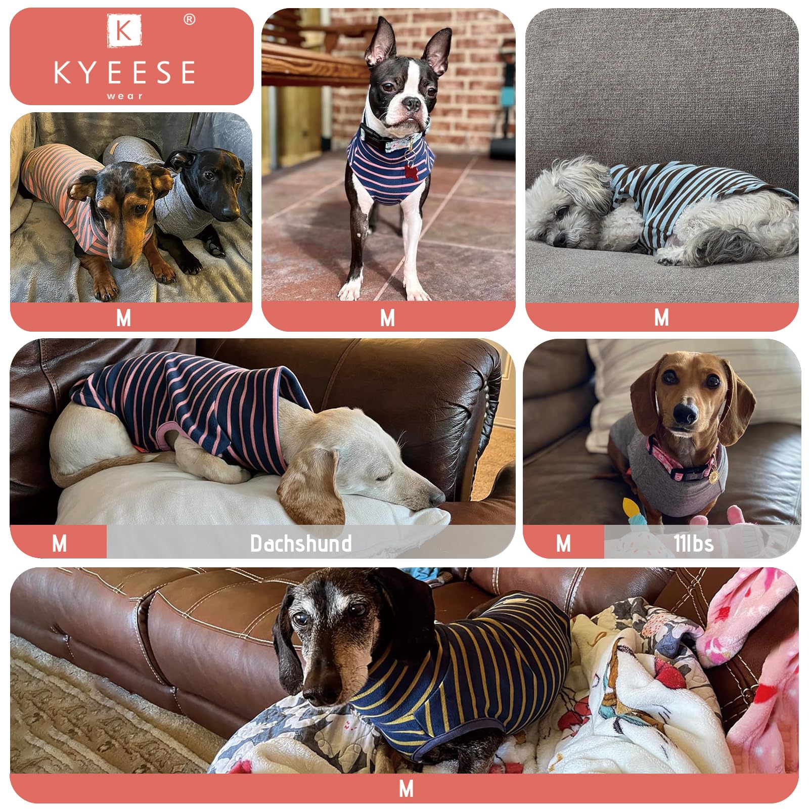 Kyeese 2Pack Dog Sweater Soft Dachshund Clothes Dog Sweaters For Small Dogs Male Warm Dog Coats Stretchy Dog Clothes Pullover Dog Sweatshirt Turtleneck Small Dog Sweaters