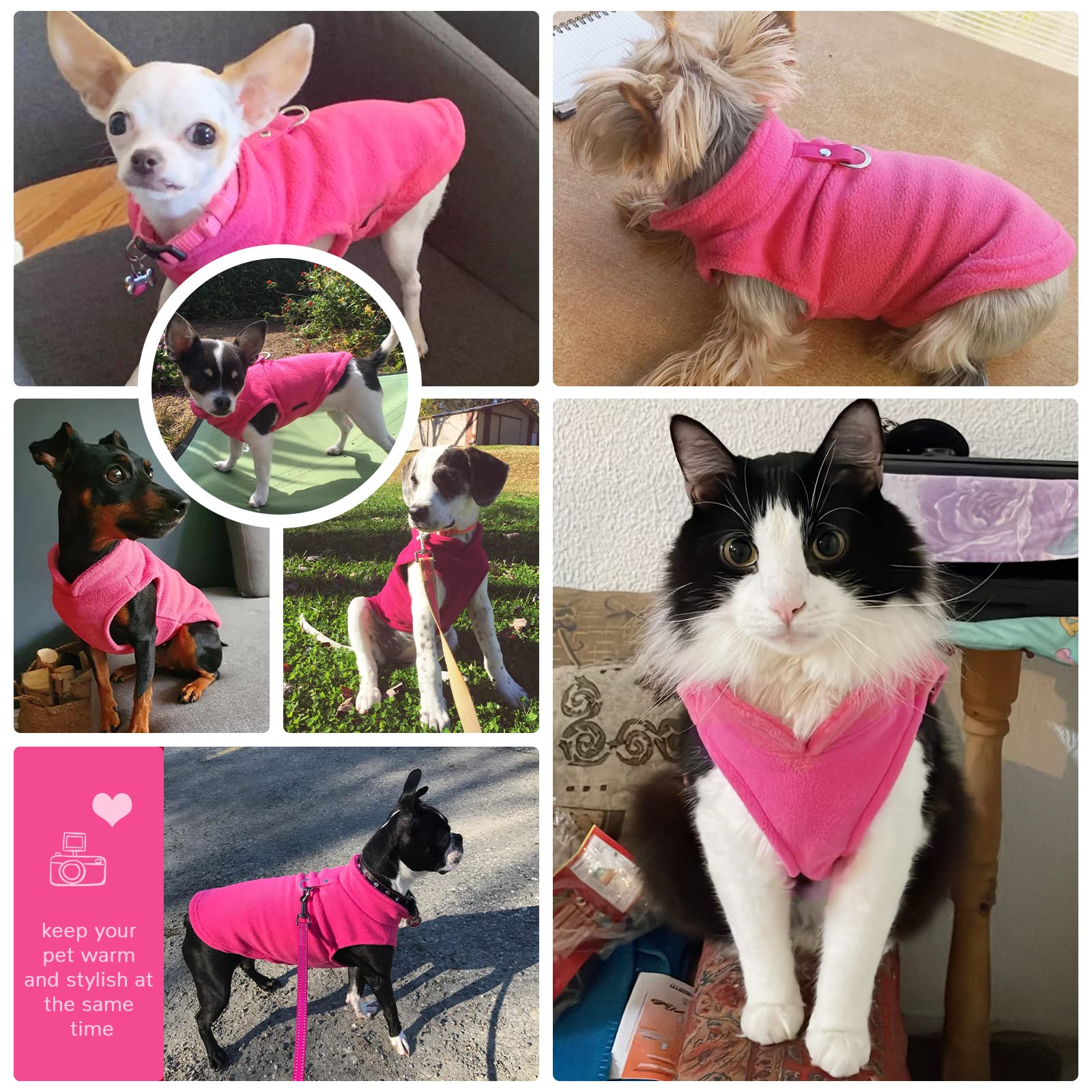 Petcare Small Dog Sweater Cat Fleece Vest Soft Dog Jacket With Leash O-Ring Fall Winter Warm Pet Pullover Coat Puppy Clothes For