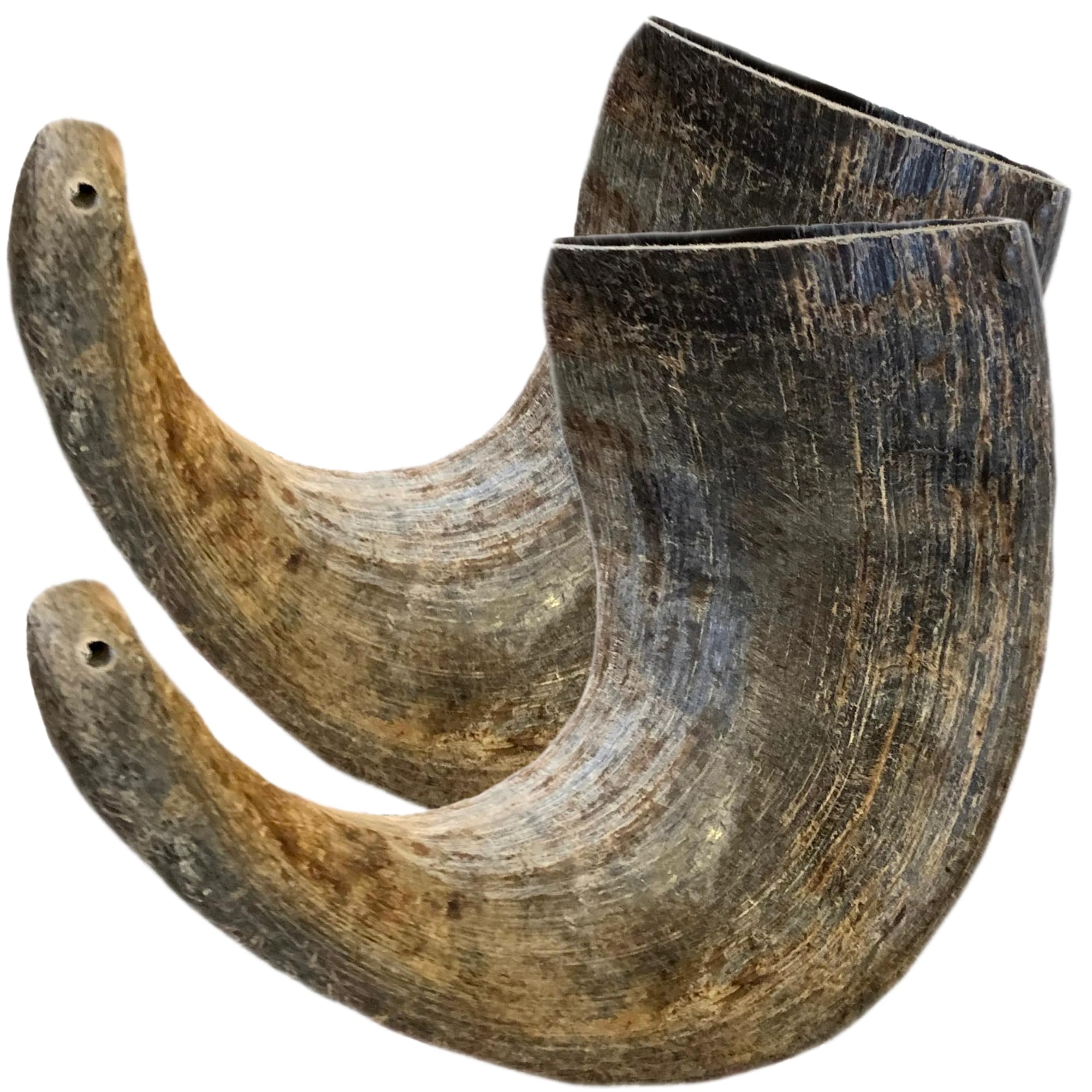 WhiteTail Naturals - Water Buffalo Horns for Dogs (2 Pack Large) All-Natural Buffalo Horn Dog Bone - Long Lasting Chew Toy for A