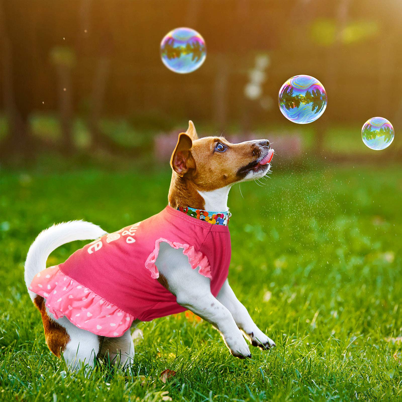 2 Pieces Dog Dresses For Small Dogs Cute Girl Female Dog Dress Mommy Puppy Shirt Skirt Doggie Dresses Pet Summer Clothes Apparel For Dogs And Cats (Love And Me,X-Small)