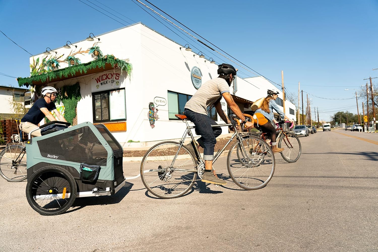 Burley Design Pet Trailer Pouch for Dog Bike Trailer, Black