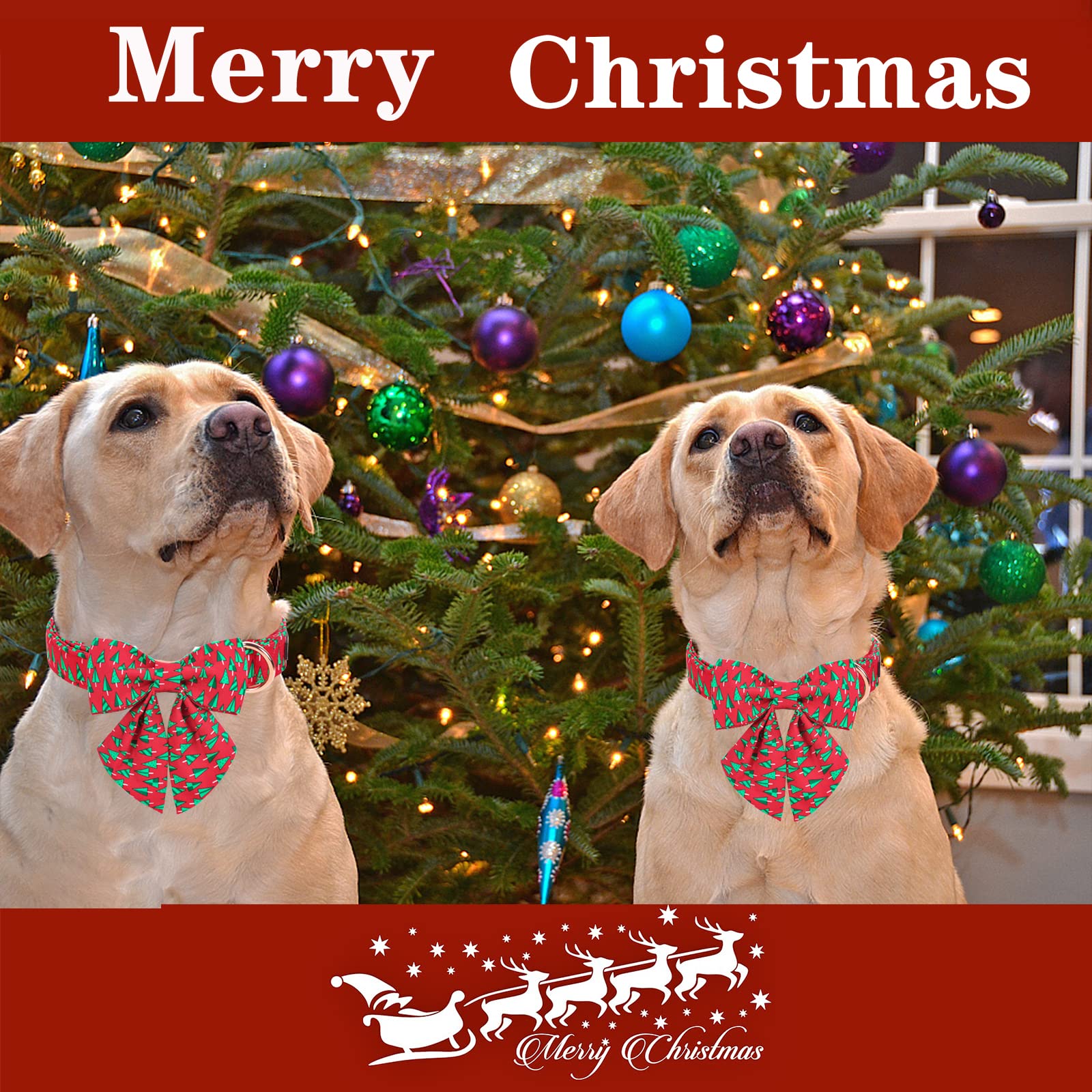 Unique Style Paws Christmas Dog Collar With Tie Best Winter For Small Medium Large Dogs-Christmas Tree-Xs