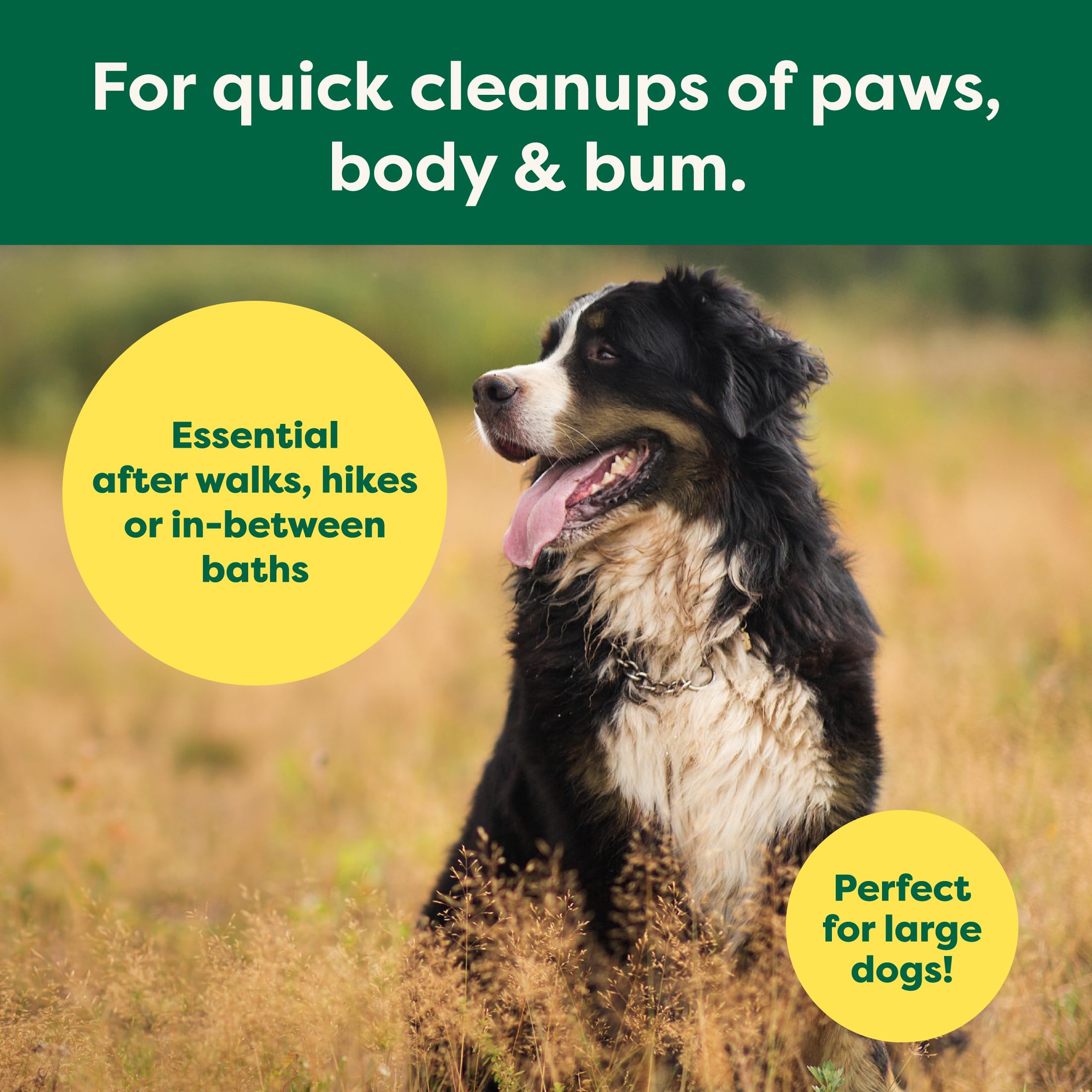 Earth Rated Xl Pet Wipes For Dogs & Cats, 3-In-1 Hypoallergenic Cleaning, Deodorizing And Hydrating Extra Large Grooming For Bod