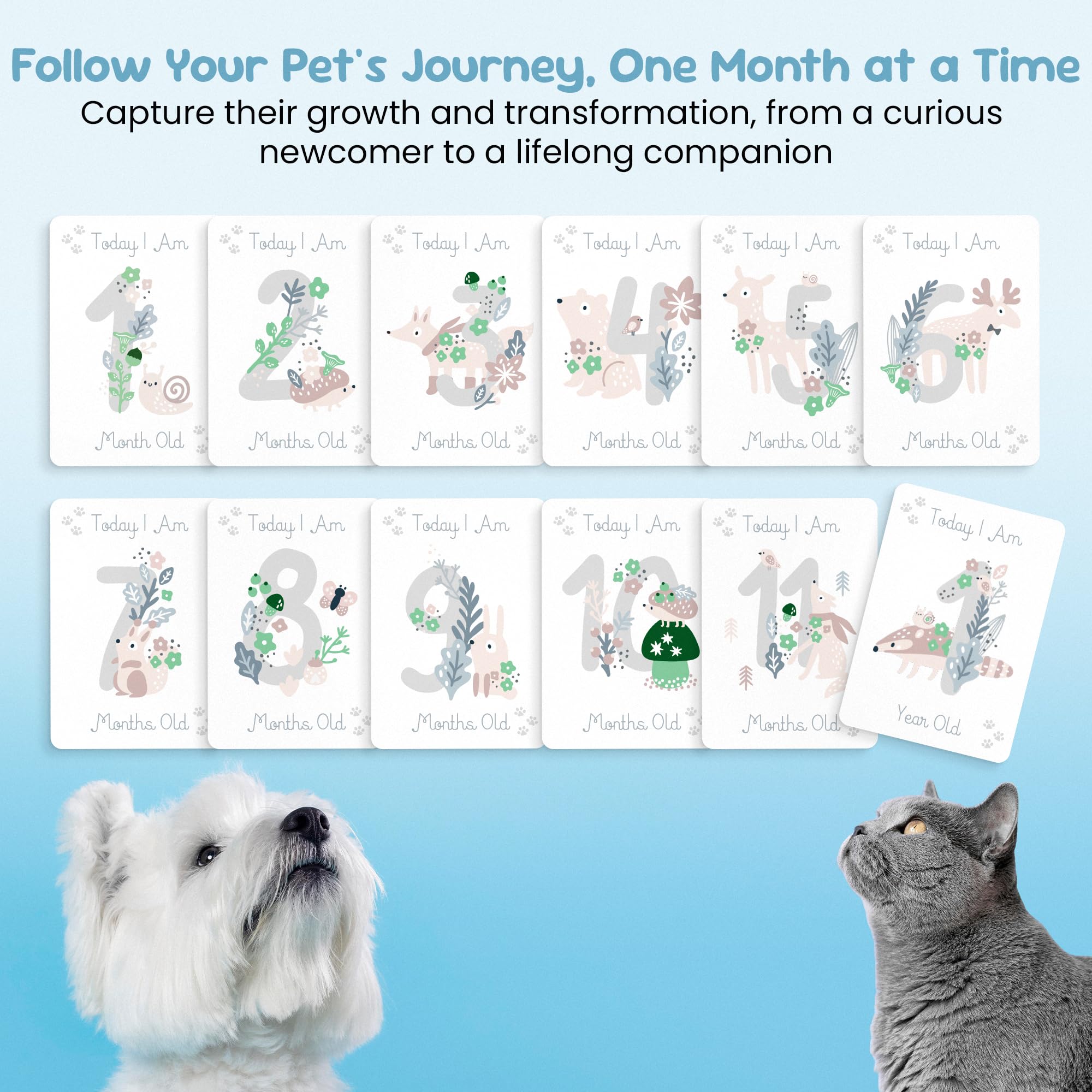 Pet Milestone Cards - Celebrate Your Pets Journey, Growth And Key Moments With Keepsake Cards - Perfect For Dogs, Cats, Puppies,
