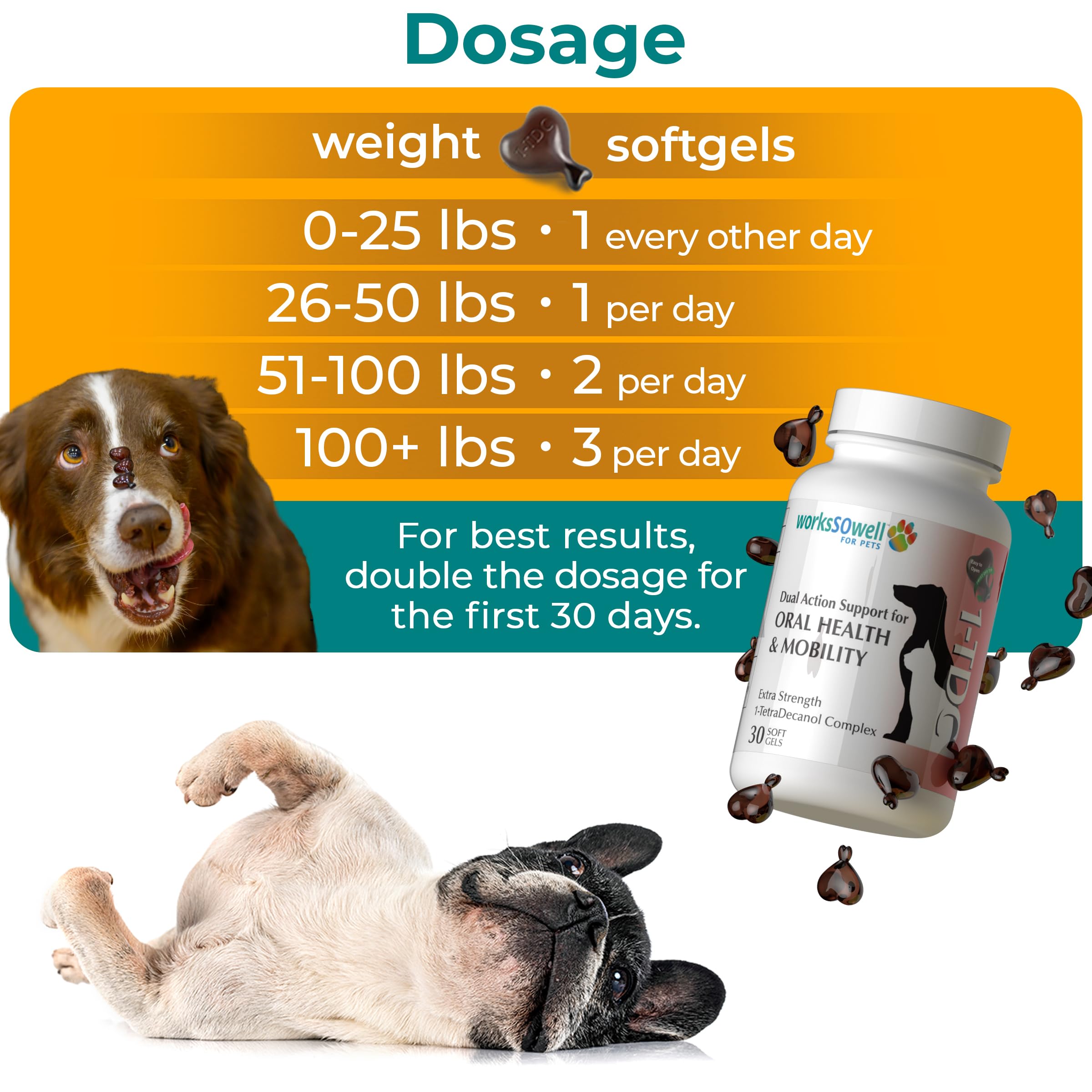 1TDC WorksSoWell Dual Action Joint Supplement for Dogs & Cats - Hip and Joint Supplement for Large Breed & Small Breed - Also Gr